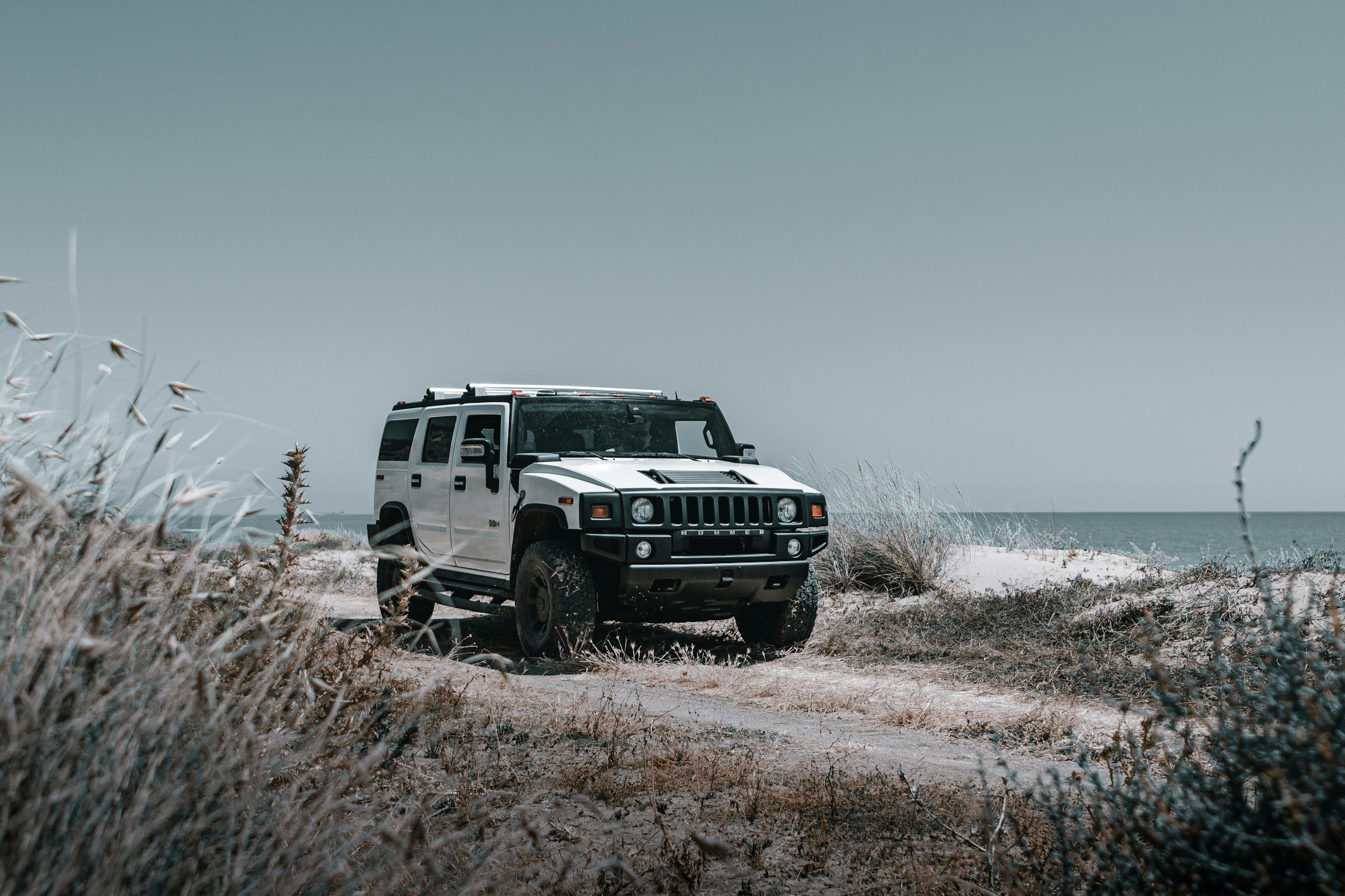 3000x2000 Hummer Picture. Download Free Image