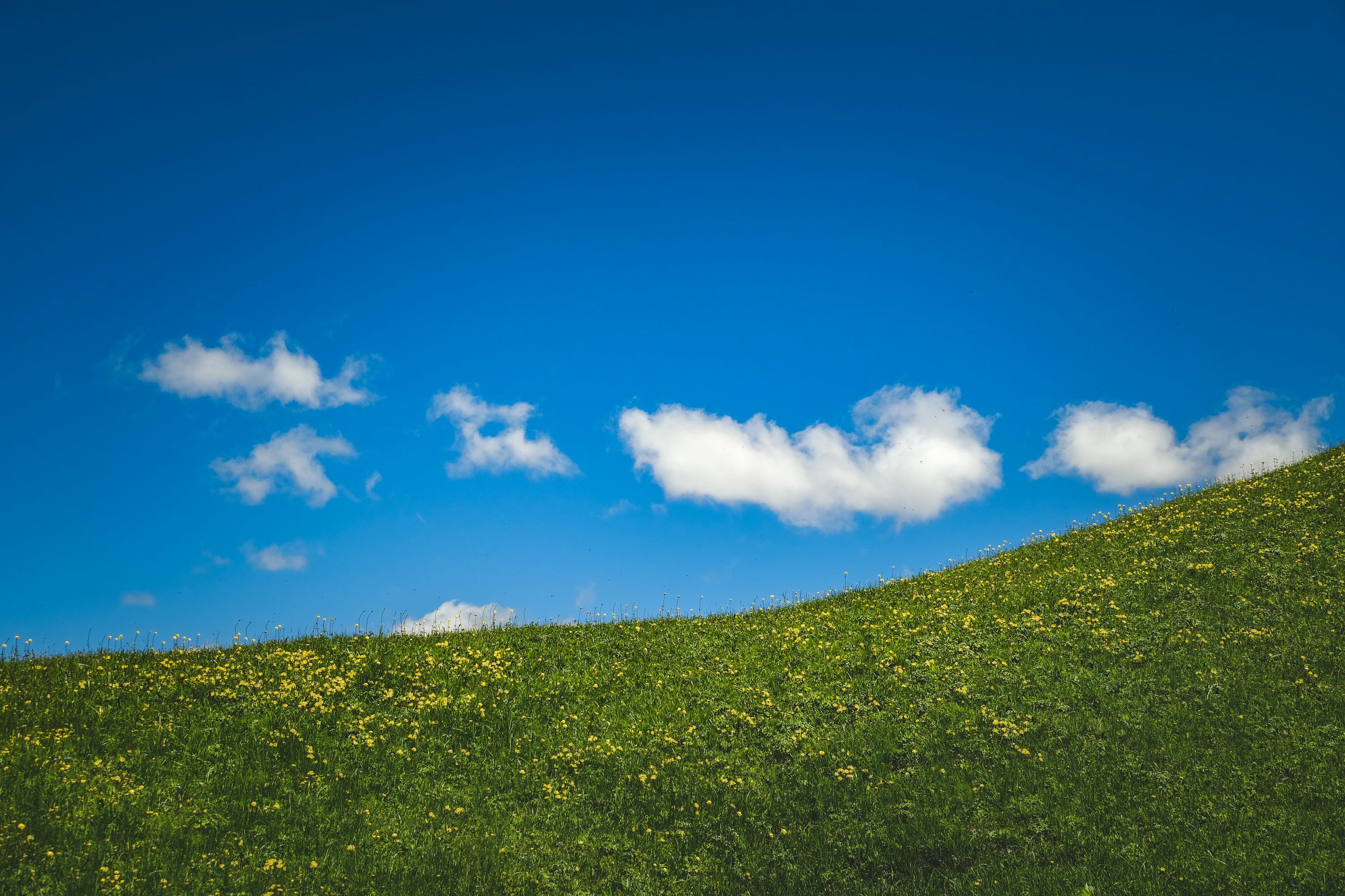 3000x2000 A grassy hill with a blue sky in the background photo
