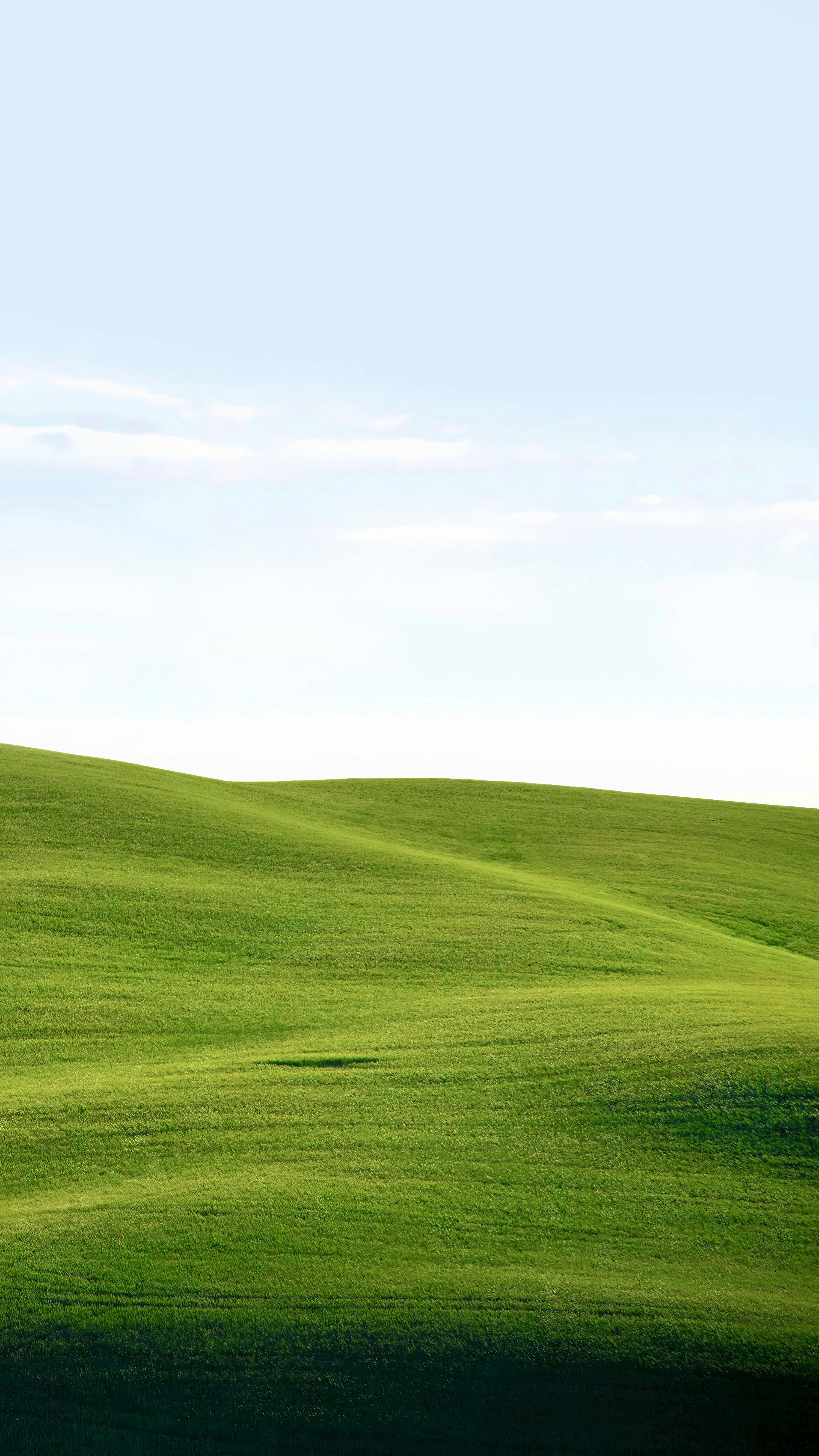3000x5333 A grassy hill with a blue sky photo