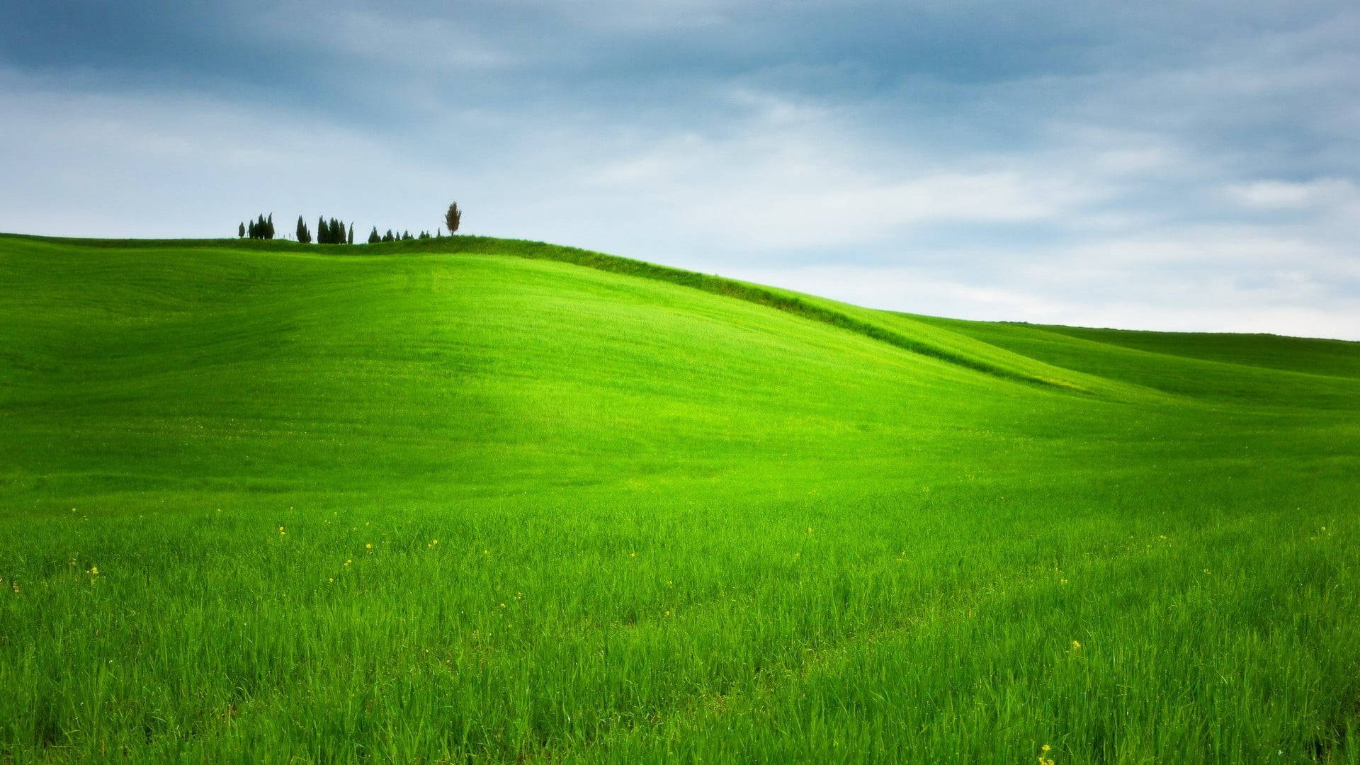 1920x1080 Download Grassy Green Hill Wallpaper