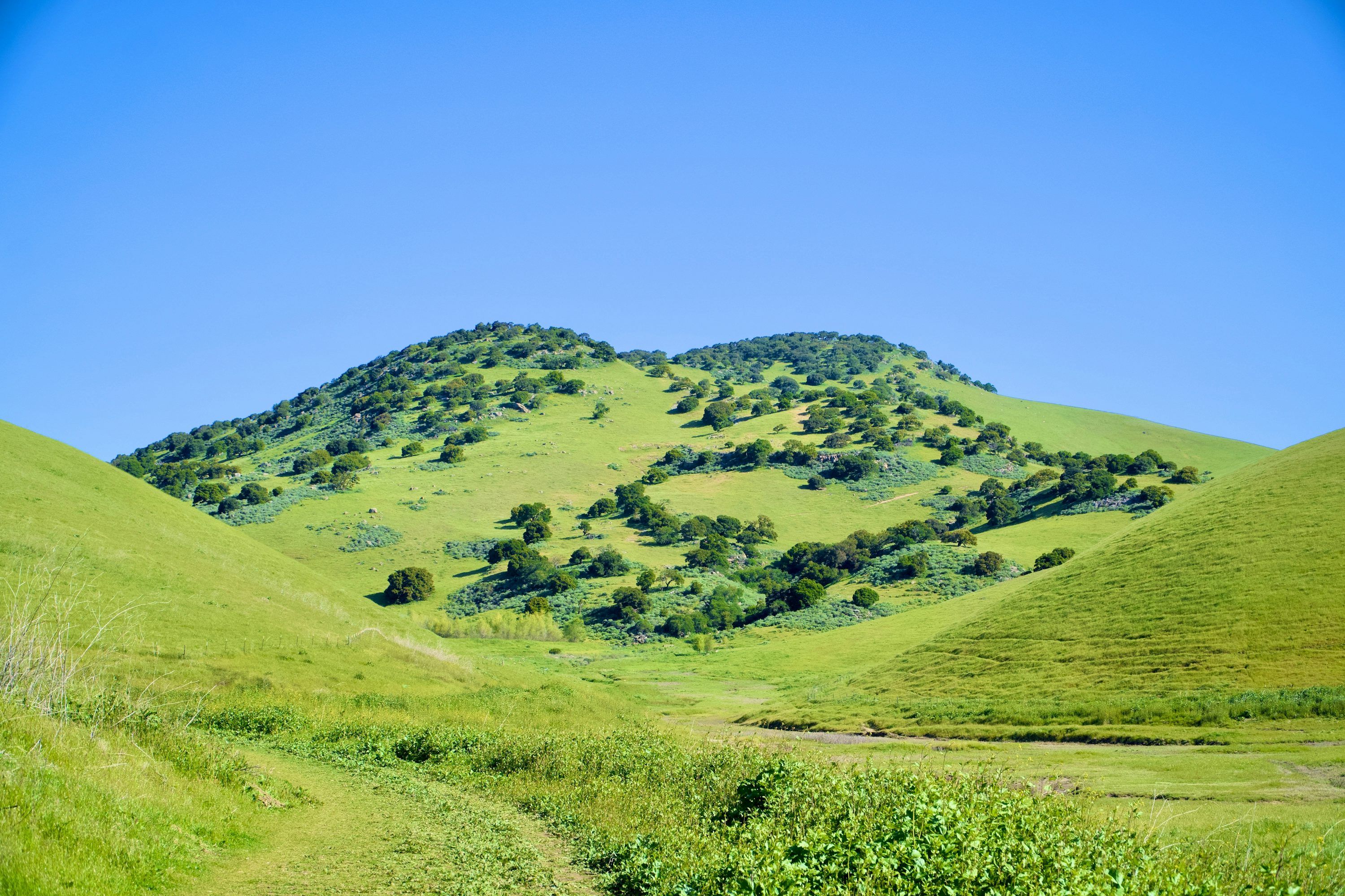 3000x2000 Green hills and vibrant grass under a blue sky. photo