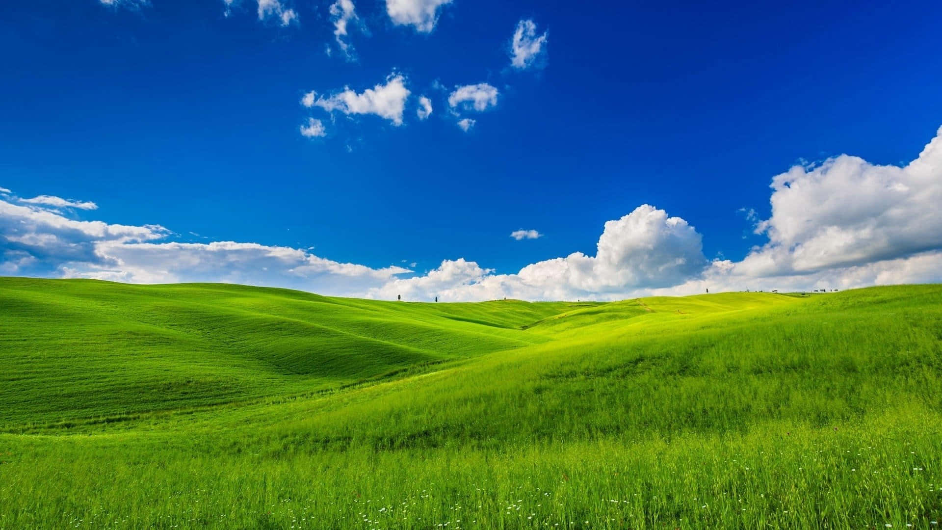 1920x1080 Download Windows XP Grass Hill And Sky Background