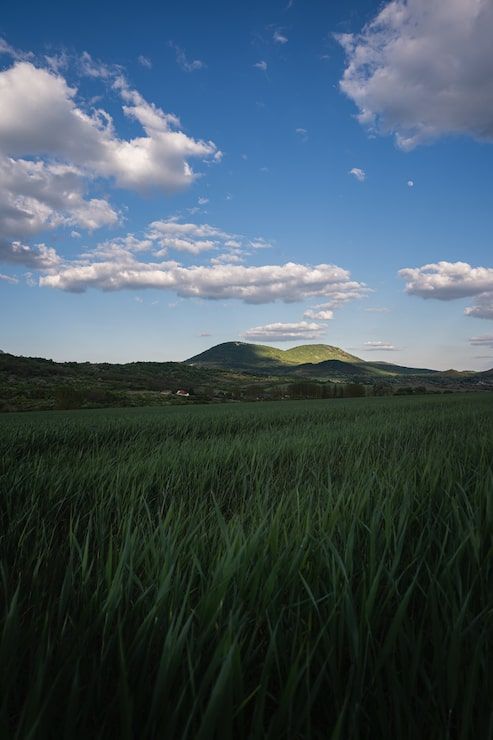 493x740 Dark green grass hill Image