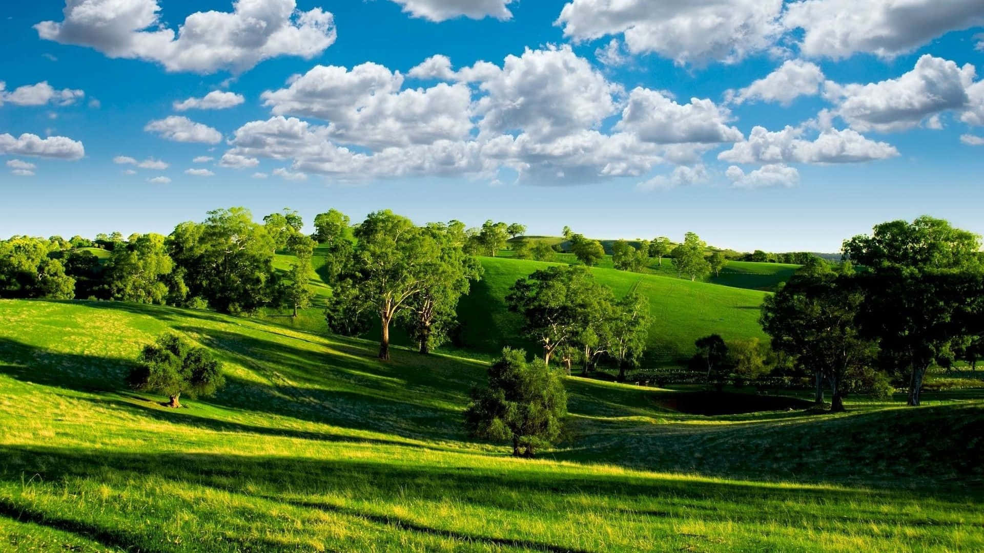 1920x1080 Download Scenic view from atop a grassy hill