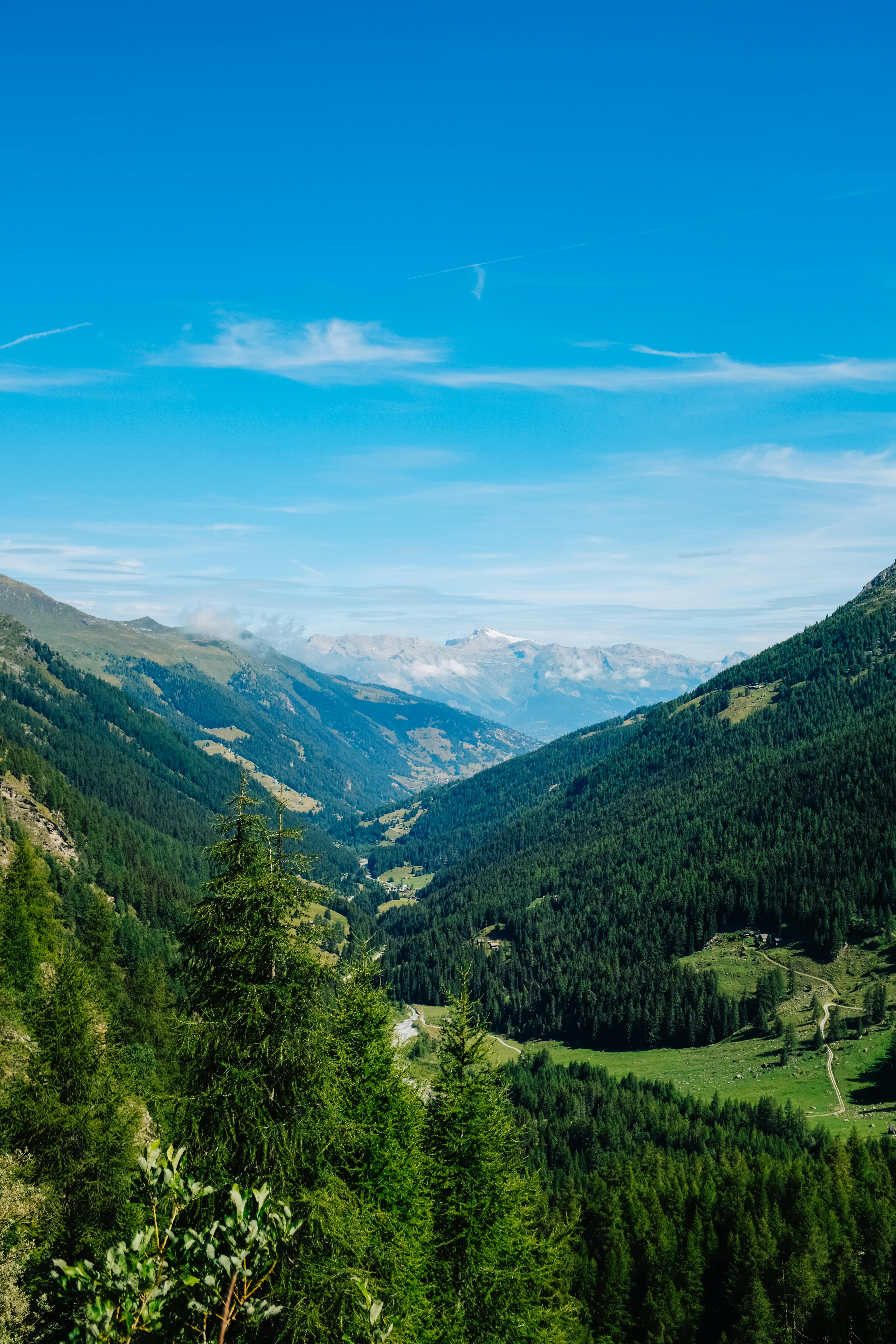 4000x6000 Grassy Hills in Mountain Valley · Free