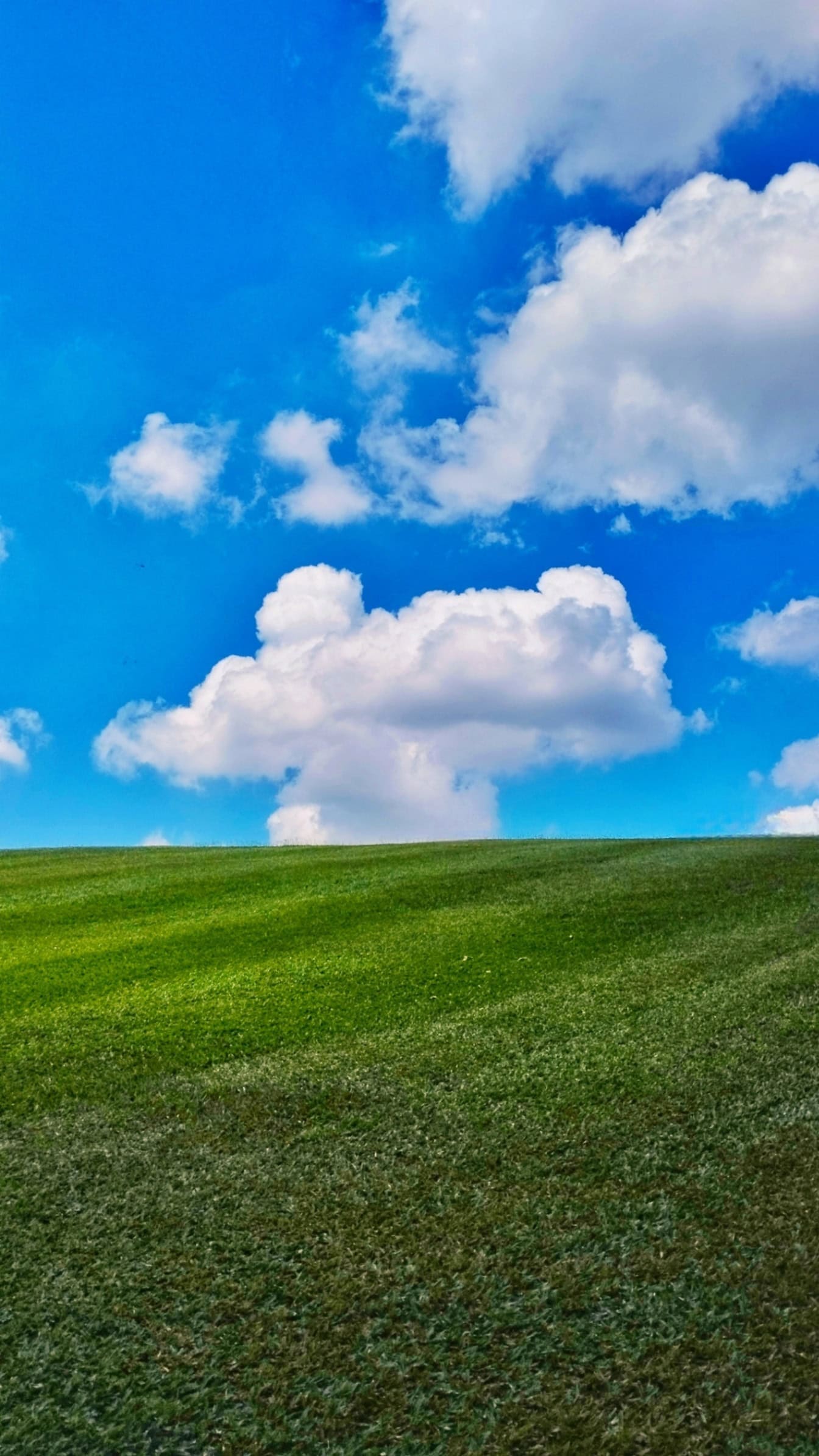1344x2389 Free picture: Beautiful field landscape, a grassy green hill with blue sky and clouds