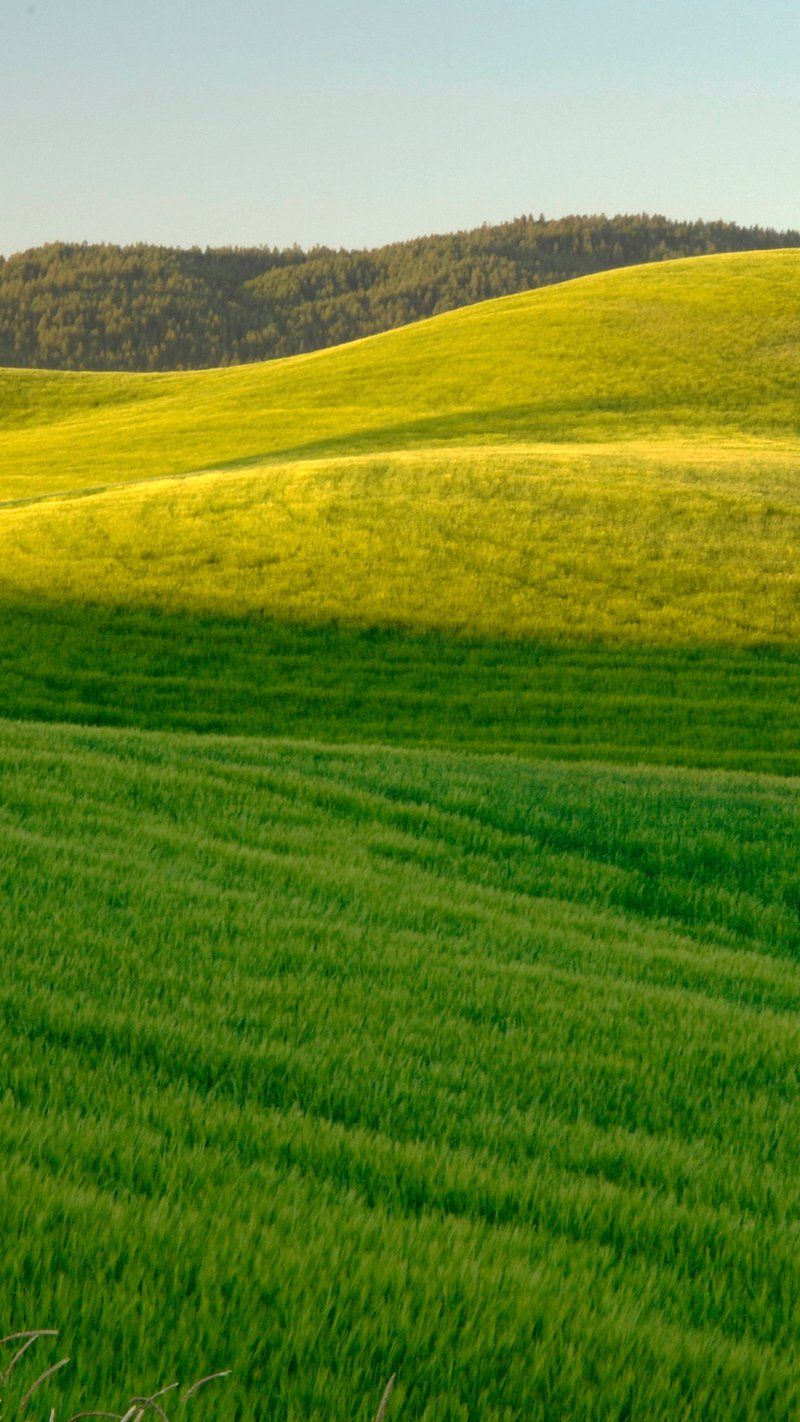 800x1422 Hills Of Grass Wallpaper. Download Free on rawpixel