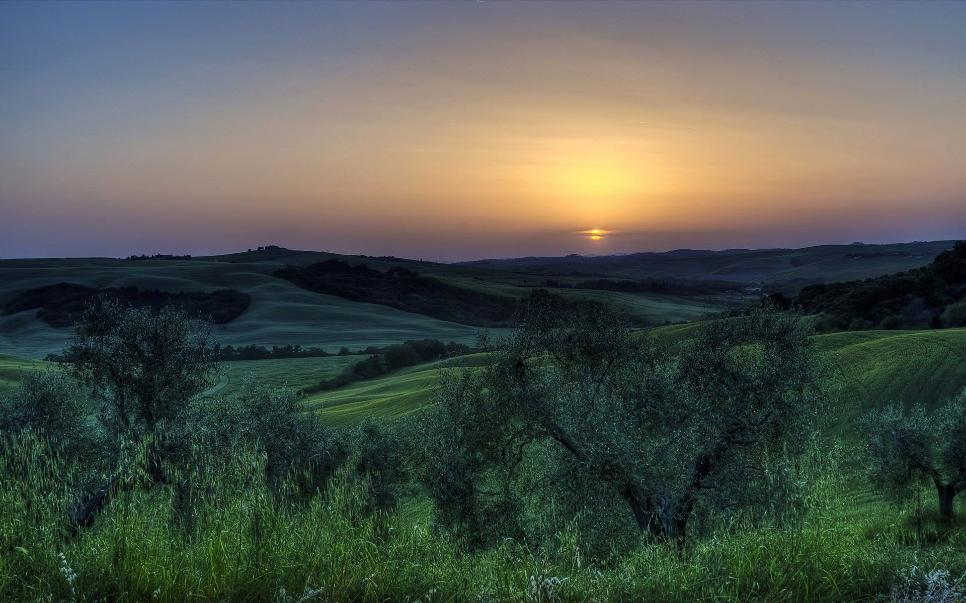 1920x1200 Golden Sunset Over Grassy Rolling Hills