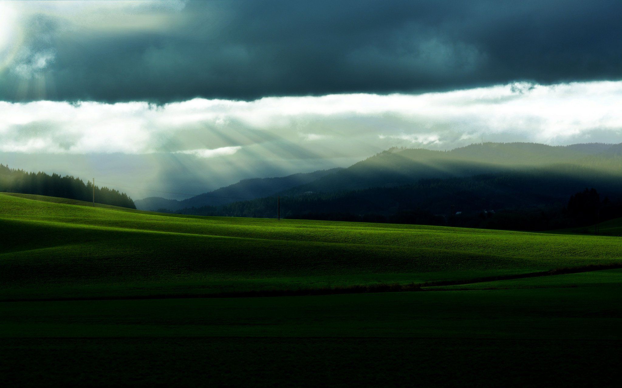 2048x1276 field, Grass, Hills, Trees, Forest, Sky, Clouds, Sun, Morning, Nature, Landscape, Lawn Wallpaper HD / Desktop and Mobile Background