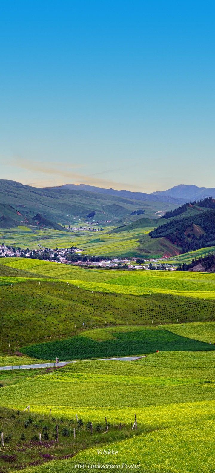 720x1584 Green Grass in Rolling Hills. Rolling hills wallpaper hd