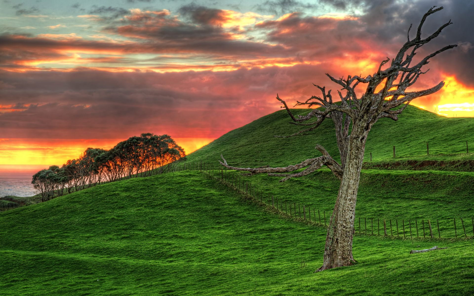 1920x1200 Phone wallpaper: Grass, Earth, Sunrise, Cloud, Hdr, Hill, Landscape, Scenic, Sky, Sunset 547896