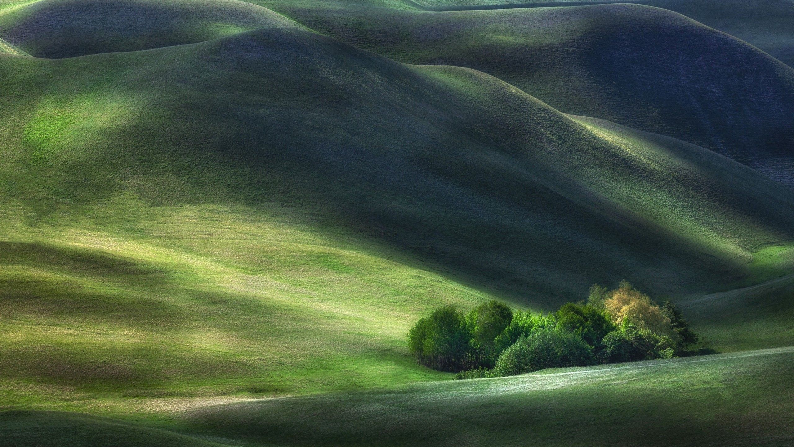 2560x1440 Green Grass Hills HD Nature Wallpaper