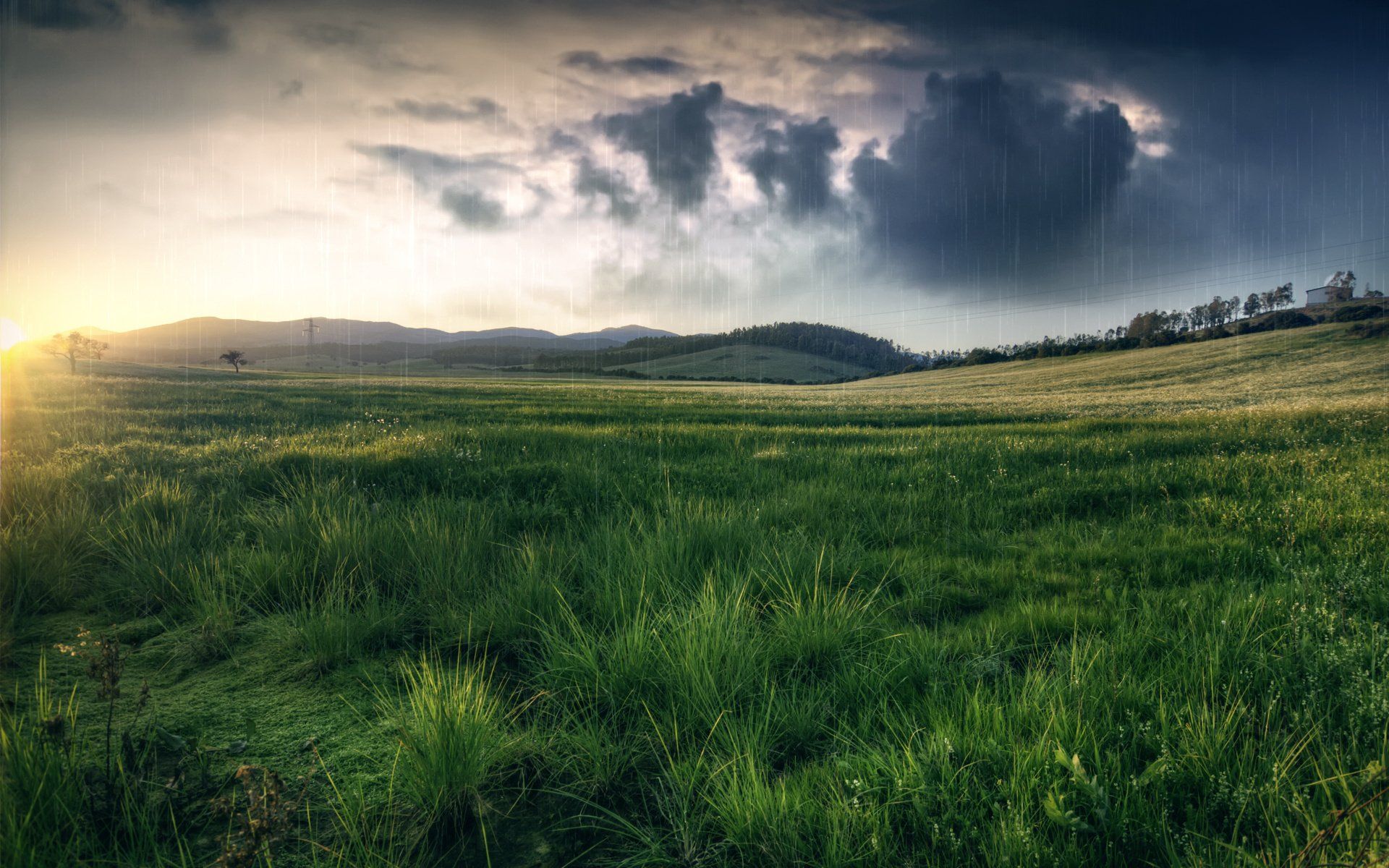 1920x1200 clouds, Field, Meadow, Nature, Rain, Grass, Hills Wallpaper HD / Desktop and Mobile Background