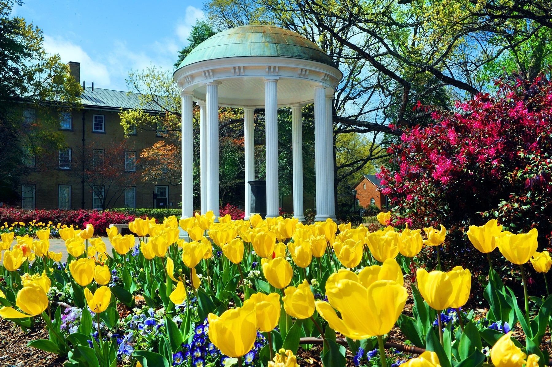 1800x1198 Missing spring at Carolina? Here are some virtual background of Arts and Sciences