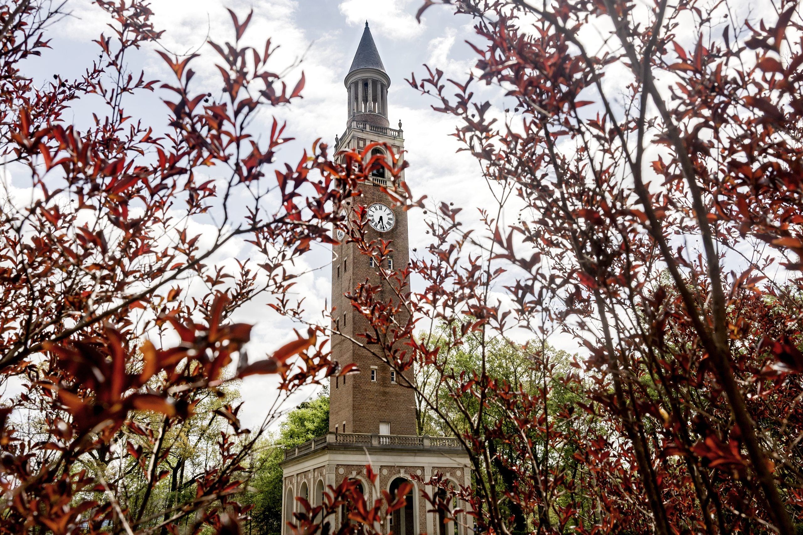2560x1707 Spring Blooms In Chapel Hill. UNC Chapel Hill