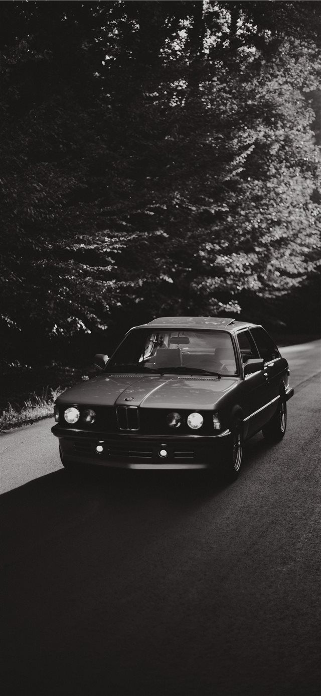640x1385 Chapel Hill United States iPhone X Wallpaper Free Download