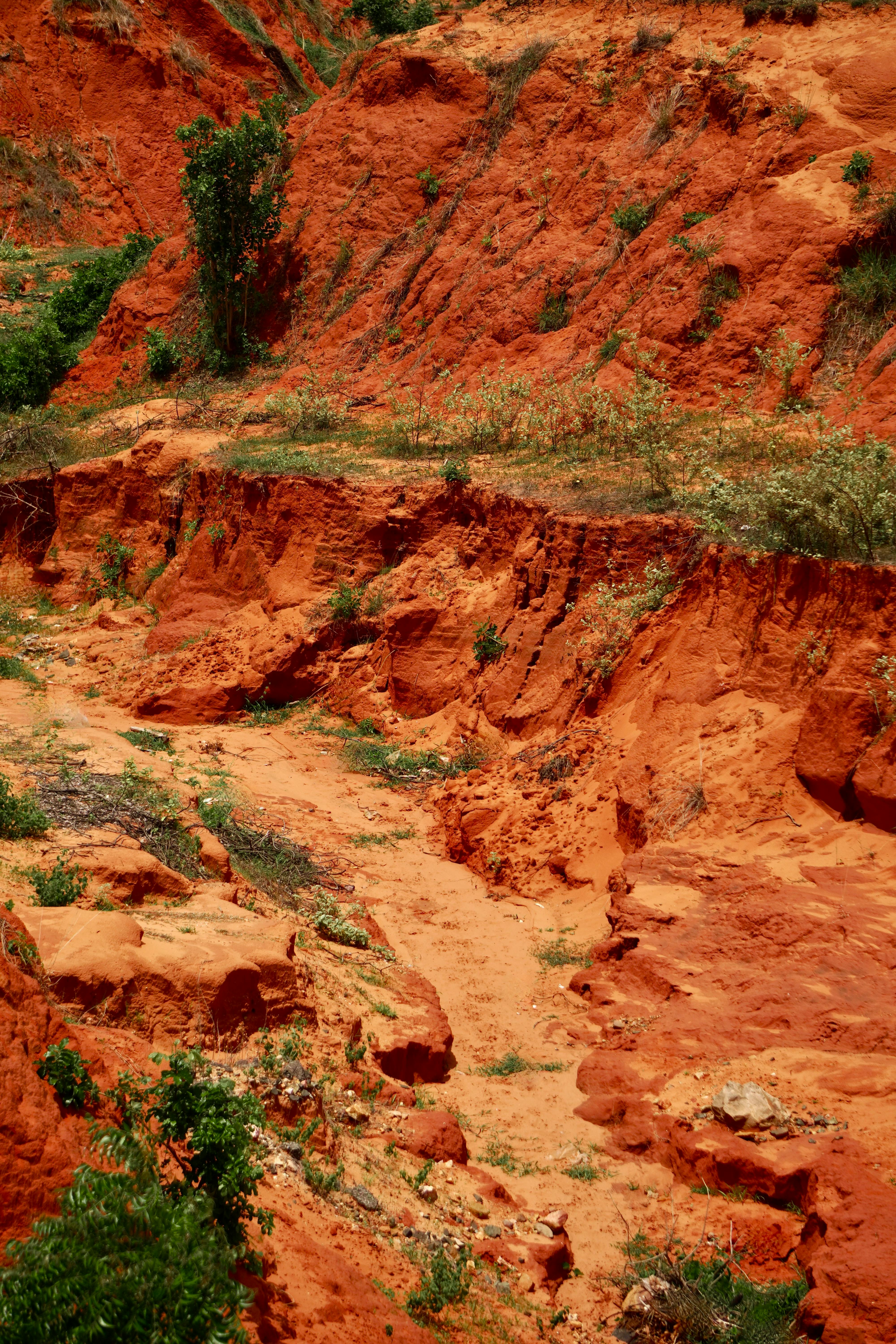 4000x6000 Red Soil Photo, Download The BEST Free Red Soil & HD Image