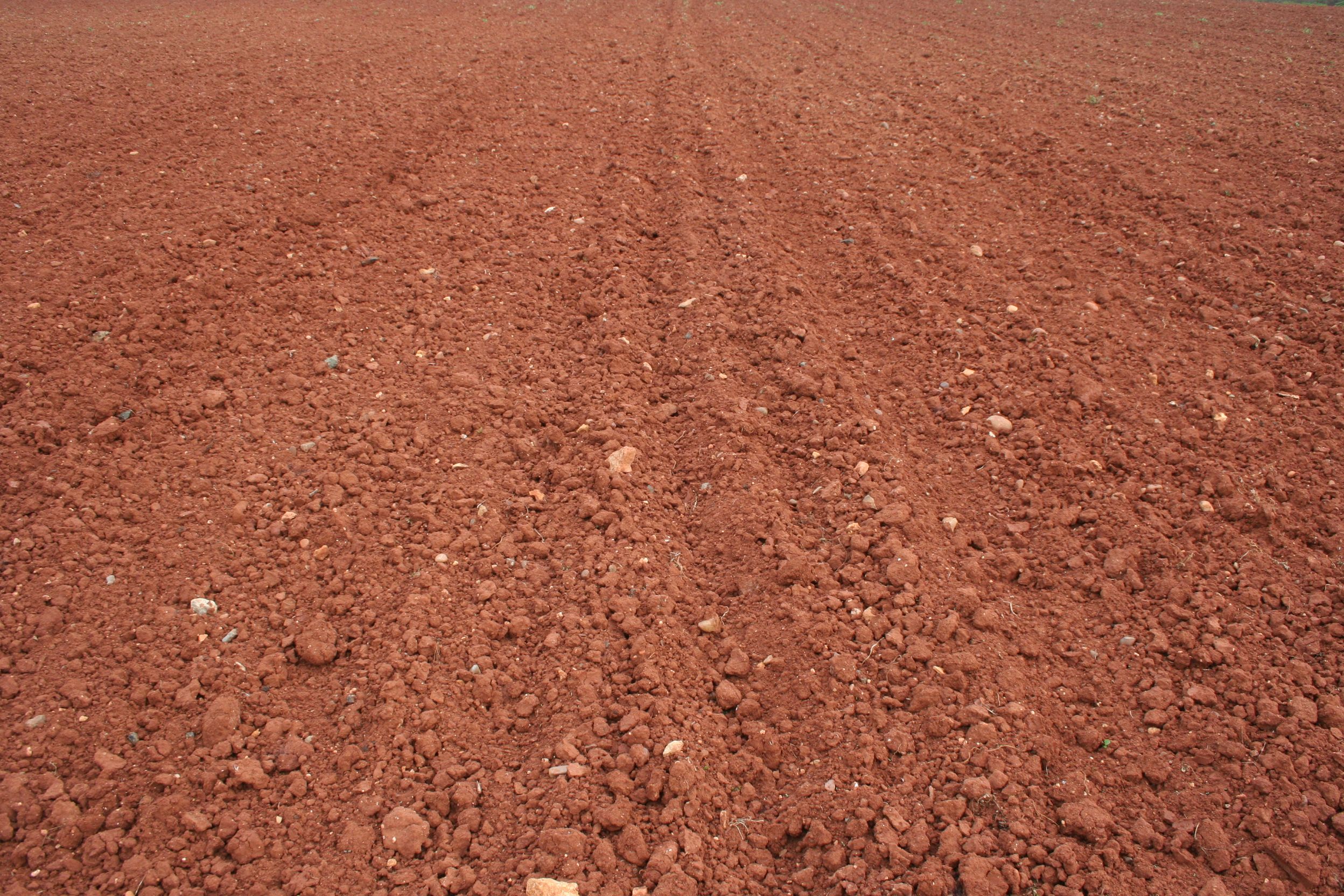 2496x1664 Imaggeo red soils in SW Spain