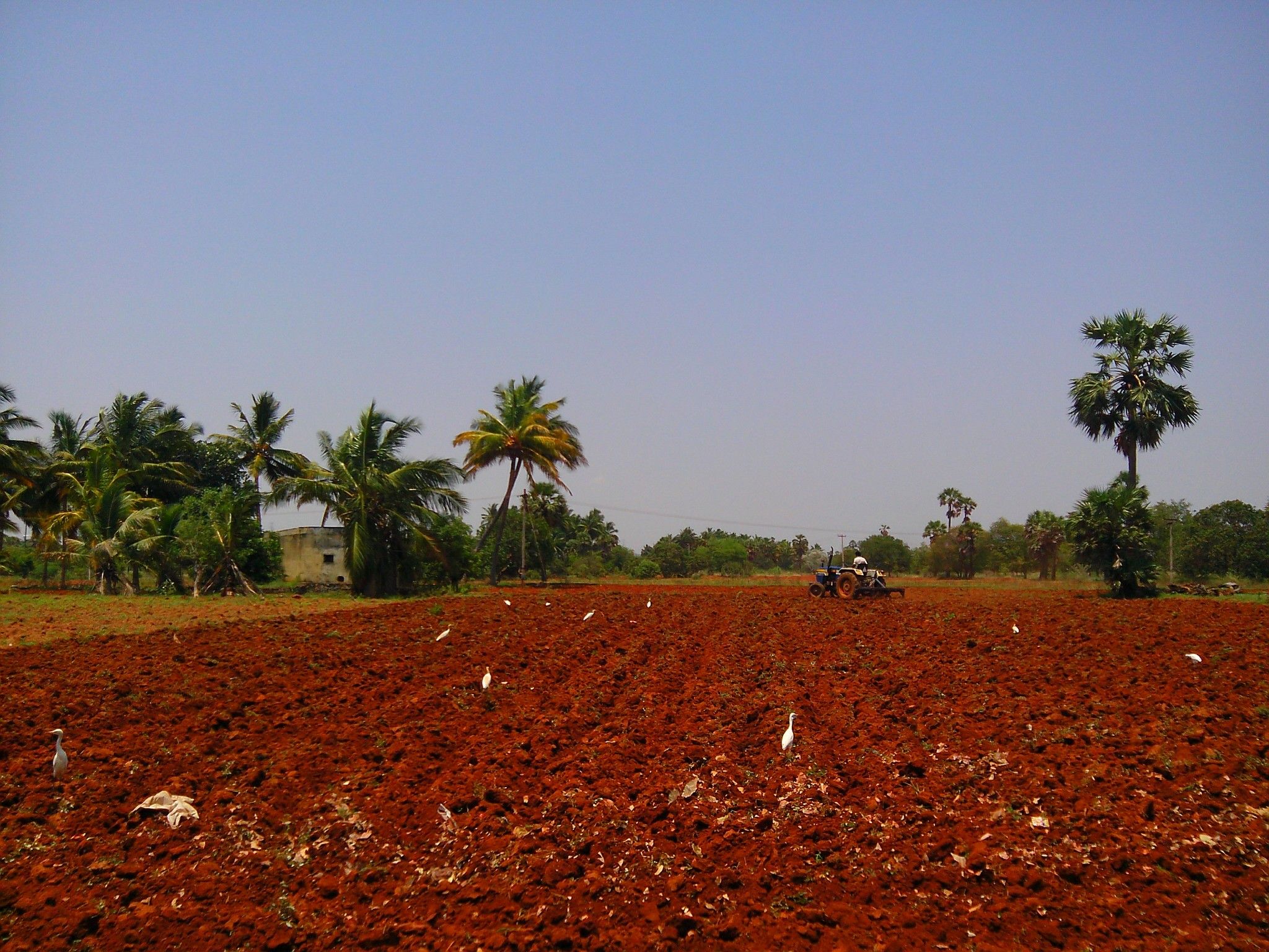 2048x1536 Red soil of Tirunelveli