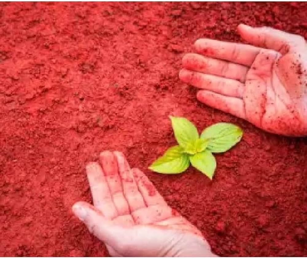 1000x843 DHARTI Garden Red Soil 5 Kg (Pack Of 6). Red Soil Natural Organic, Well Drained, And Aerated Potting Soil For All Vegetables, Flowers, Trees Shrubs, And House Plants (6) : Amazon.in: Garden & Outdoors