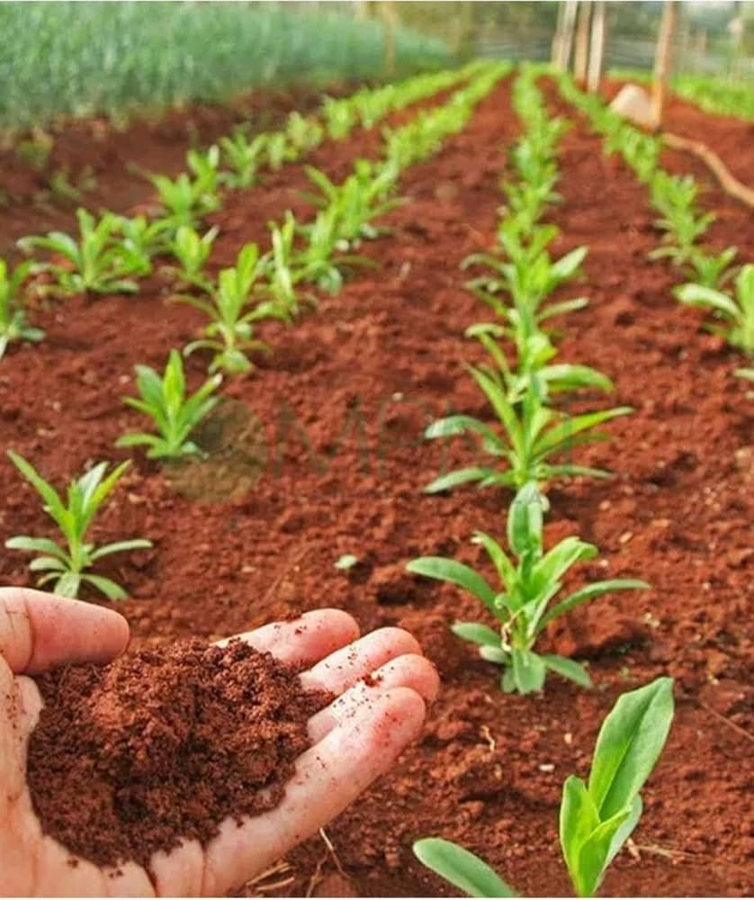 838x1000 SPbyit Red Soil Kg. Fertilizer for Plants. Manure for Home Gardening (5) : Amazon.in: Garden & Outdoors