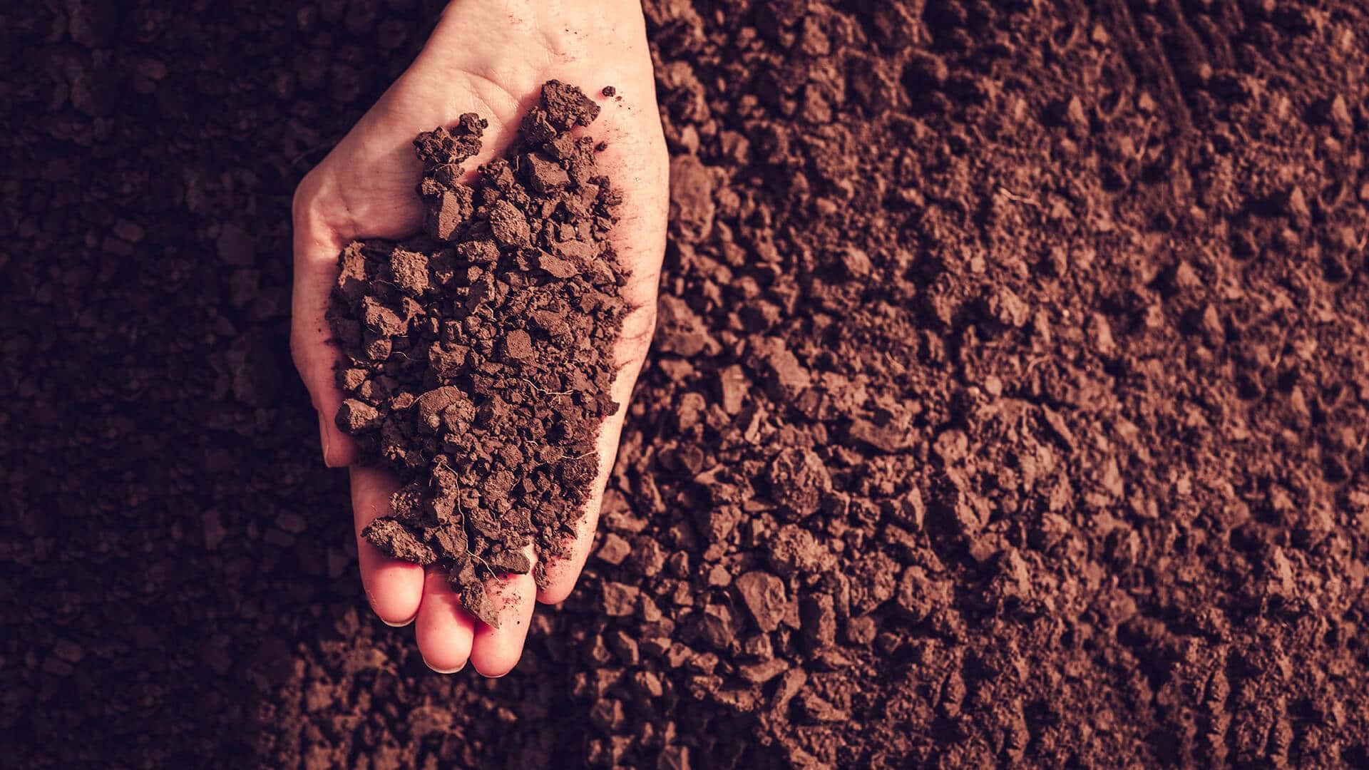 1920x1080 Download Experienced Farmer Examining Soil Quality Wallpaper