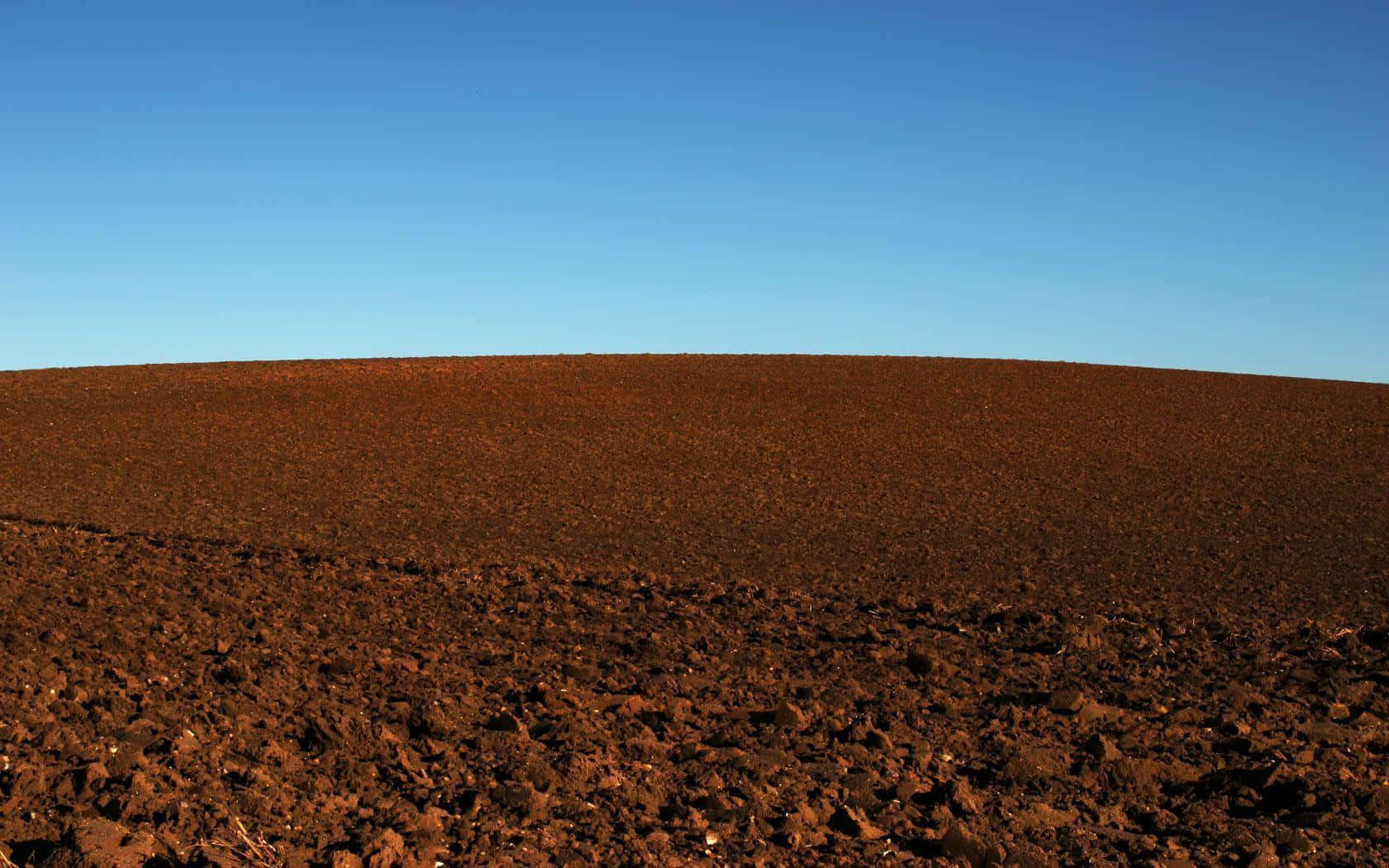 1680x1050 Download Soil Background