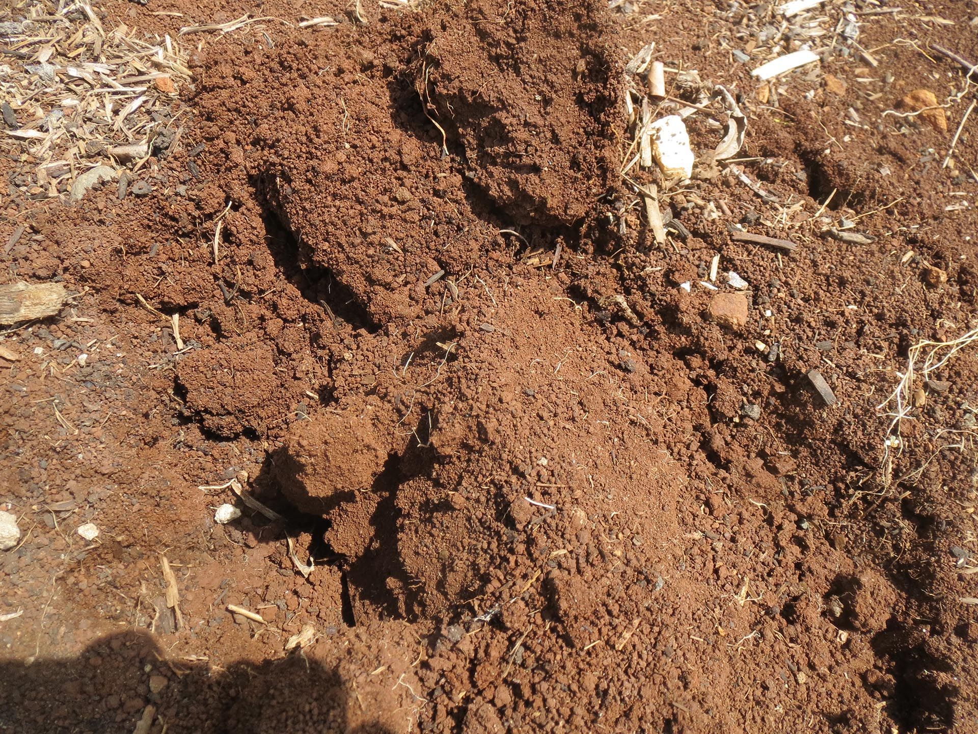 1920x1440 Soil types. Insects and Organic Gardening
