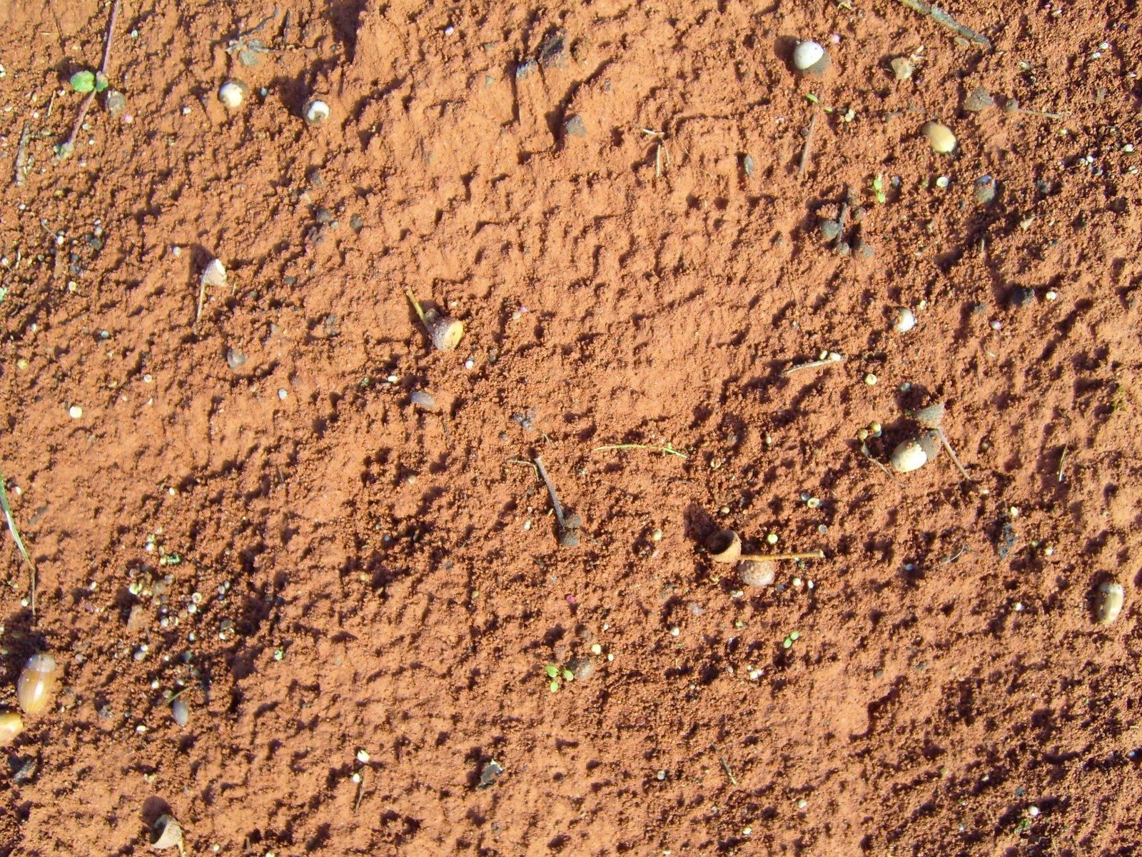 1600x1200 Red ground with