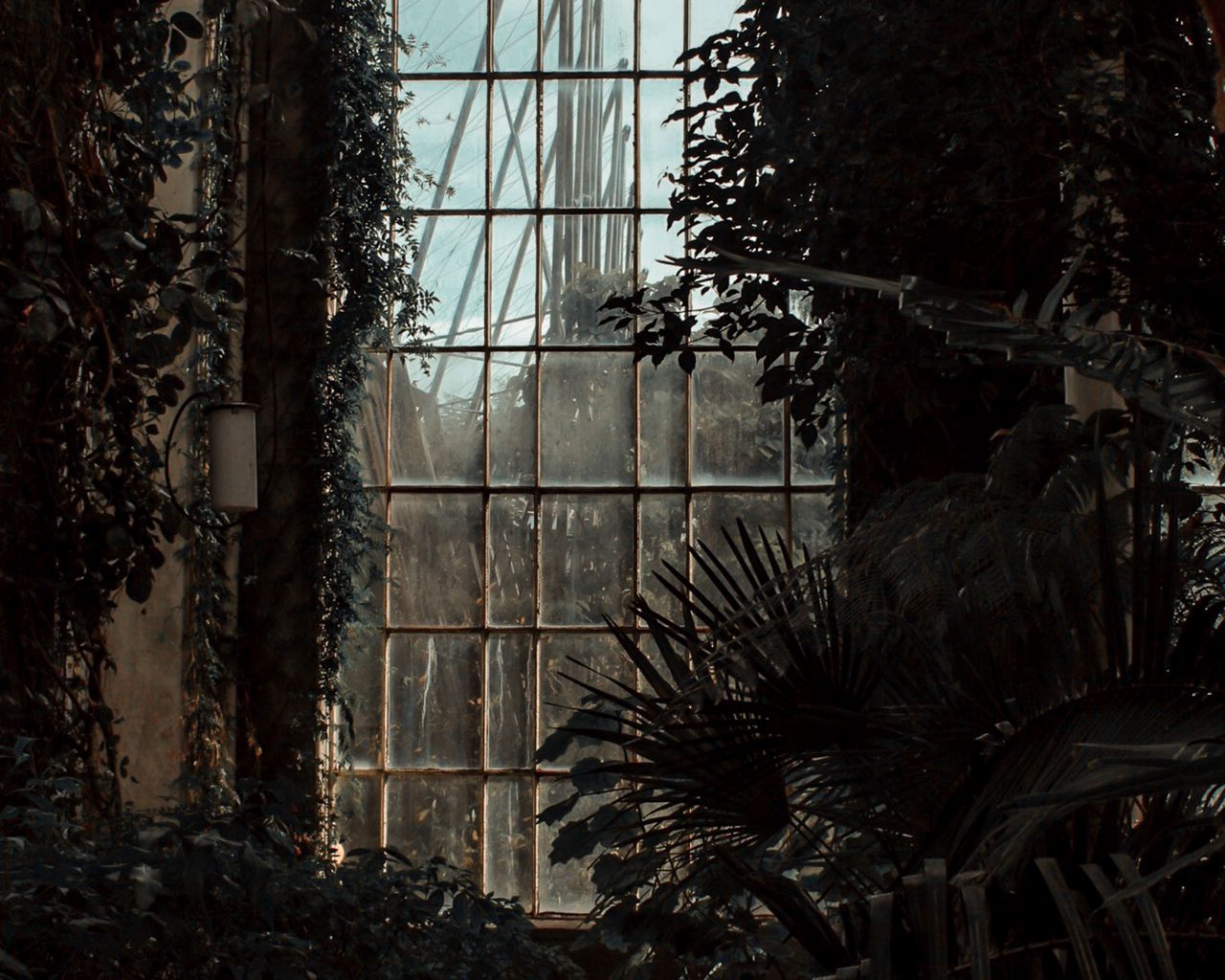 1280x1024 Download wallpaper 1280x1024 greenhouse, window, dark, plants, room standard 5:4 HD background