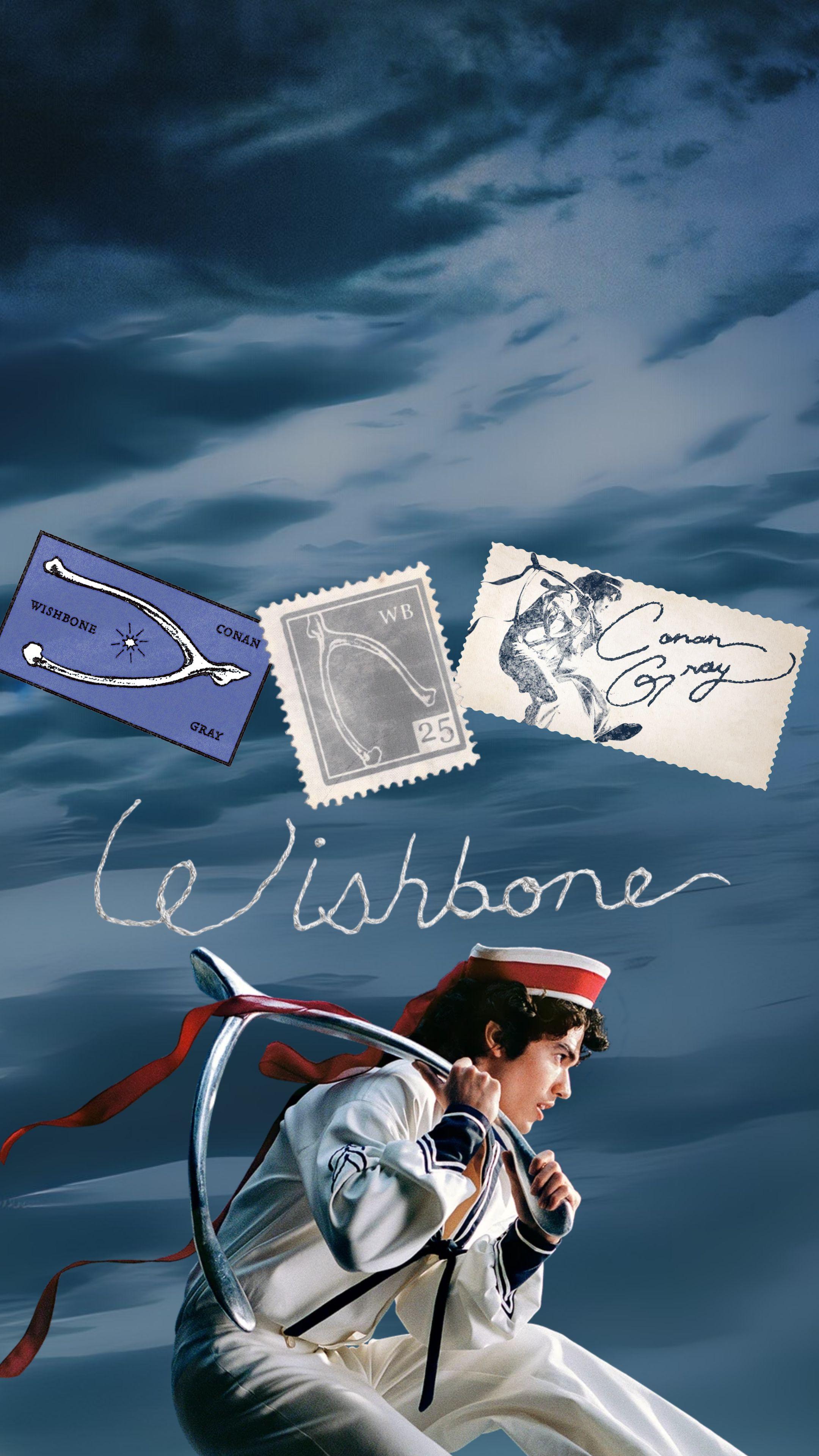 2160x3840 wishbone wallpaper!