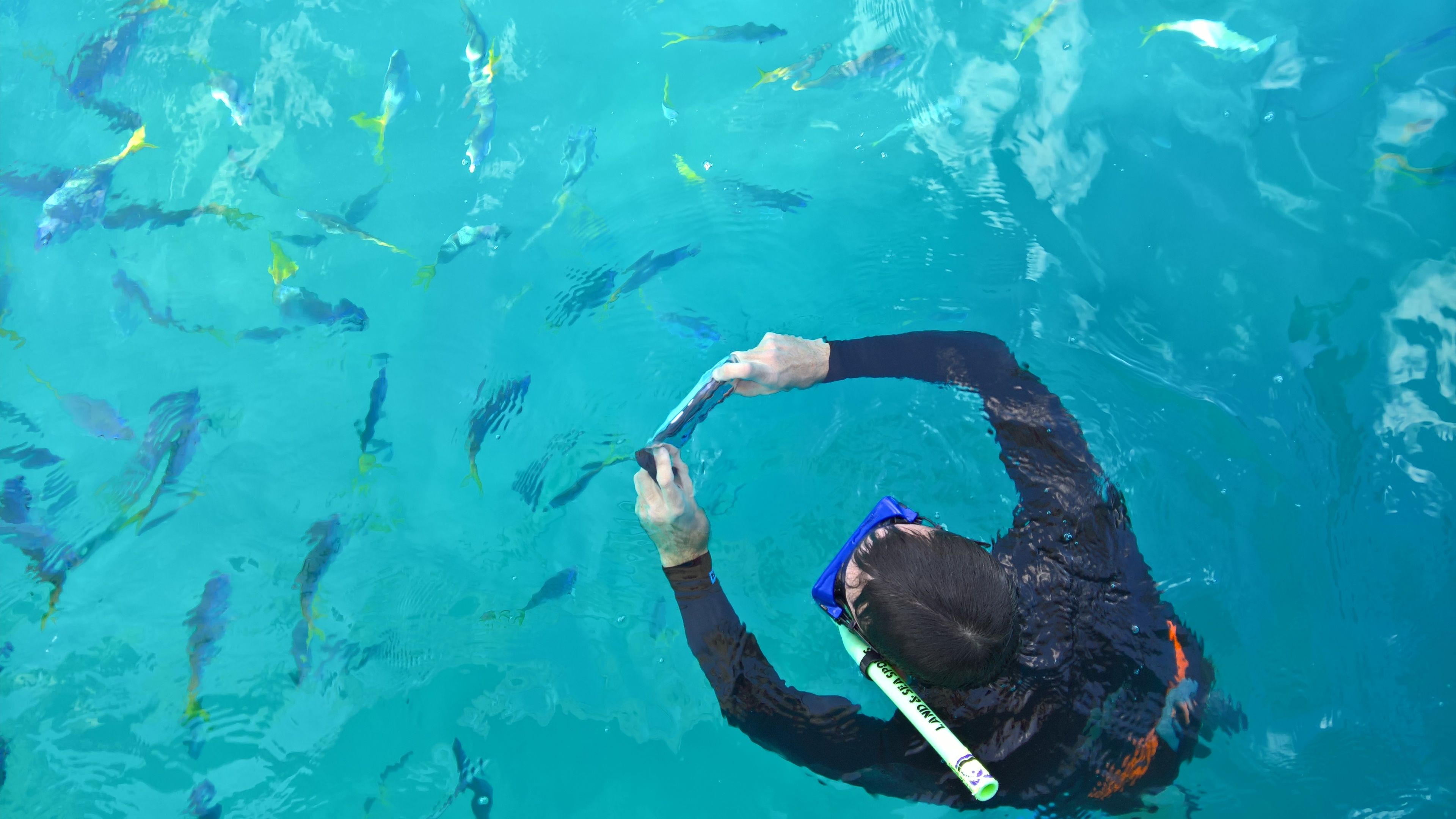 3840x2160 Exploring the Great Barrier Reef with National Geographic and the Lumia 950 and Lumia 950 XL. Microsoft Devices Blog
