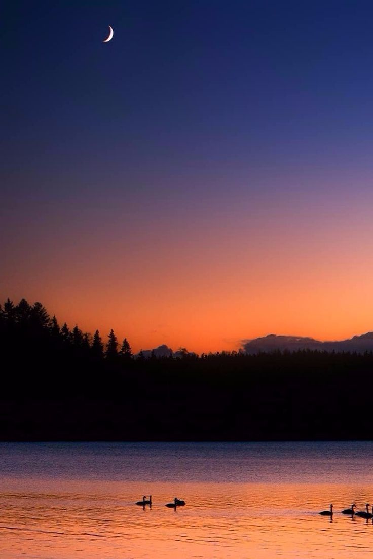 736x1103 ✨sky✨. Sky aesthetic, Sunset picture, Sunset wallpaper