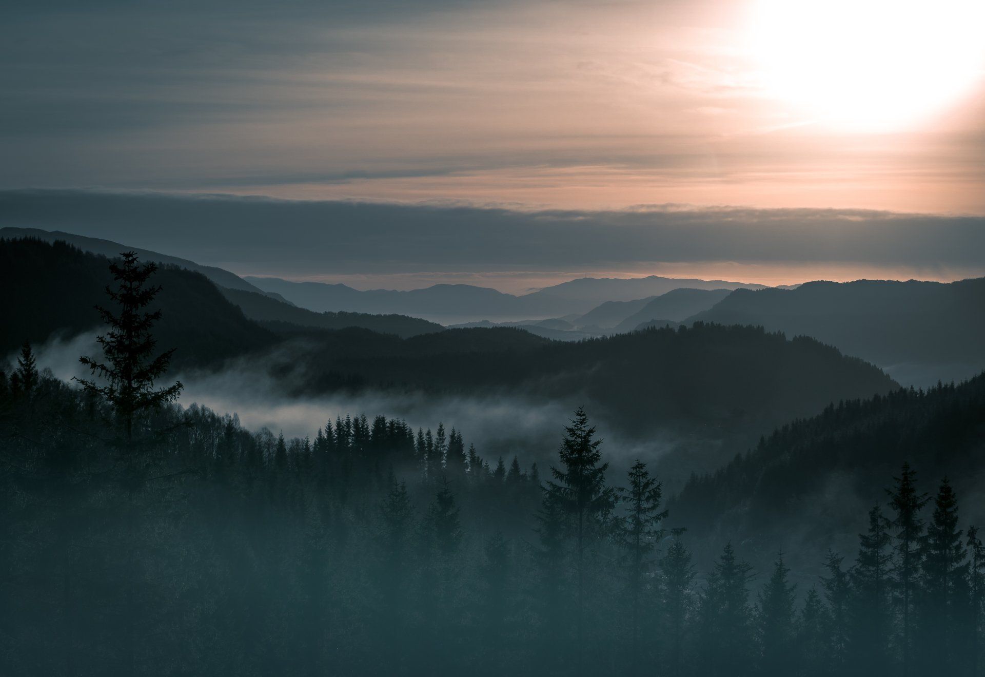 1920x1319 Norwegian Twilight: Misty Mountain Forest at SunsetK Ultra HD Wallpaperx3369