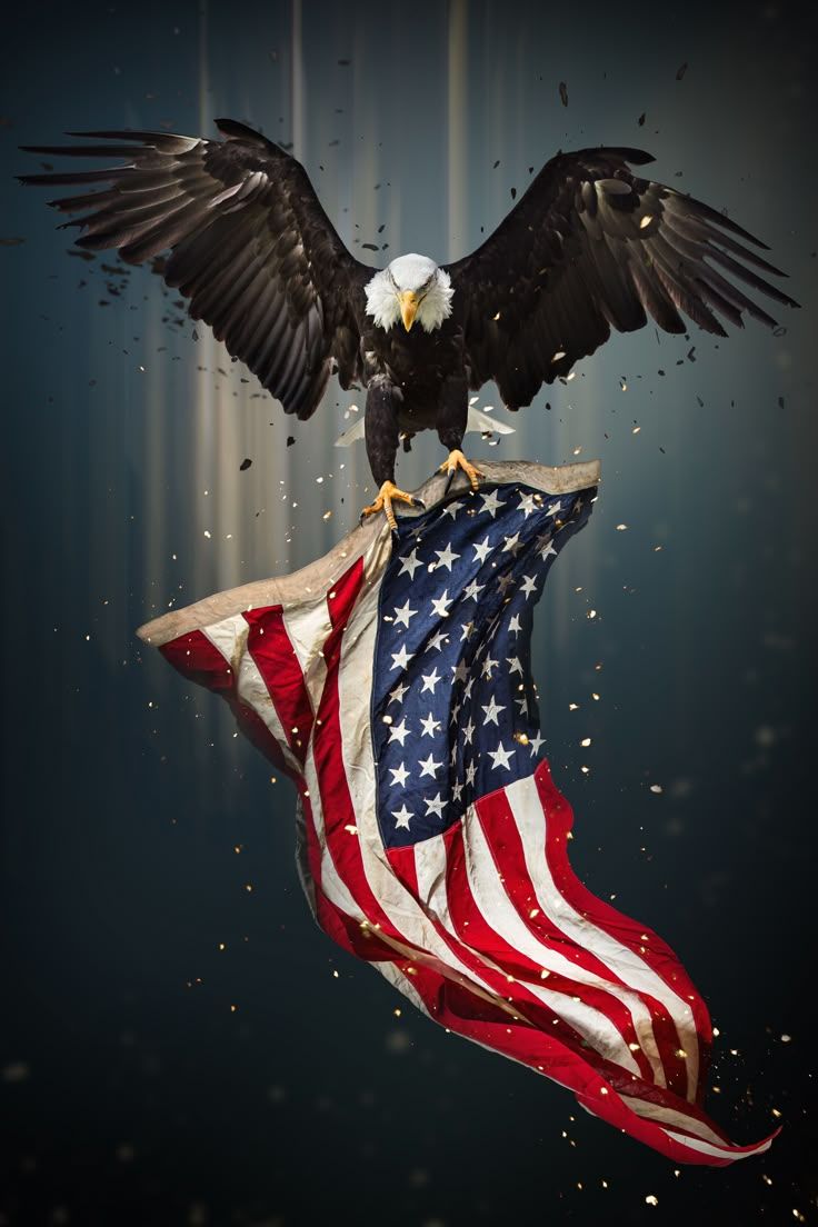 736x1104 Eagle With Flag