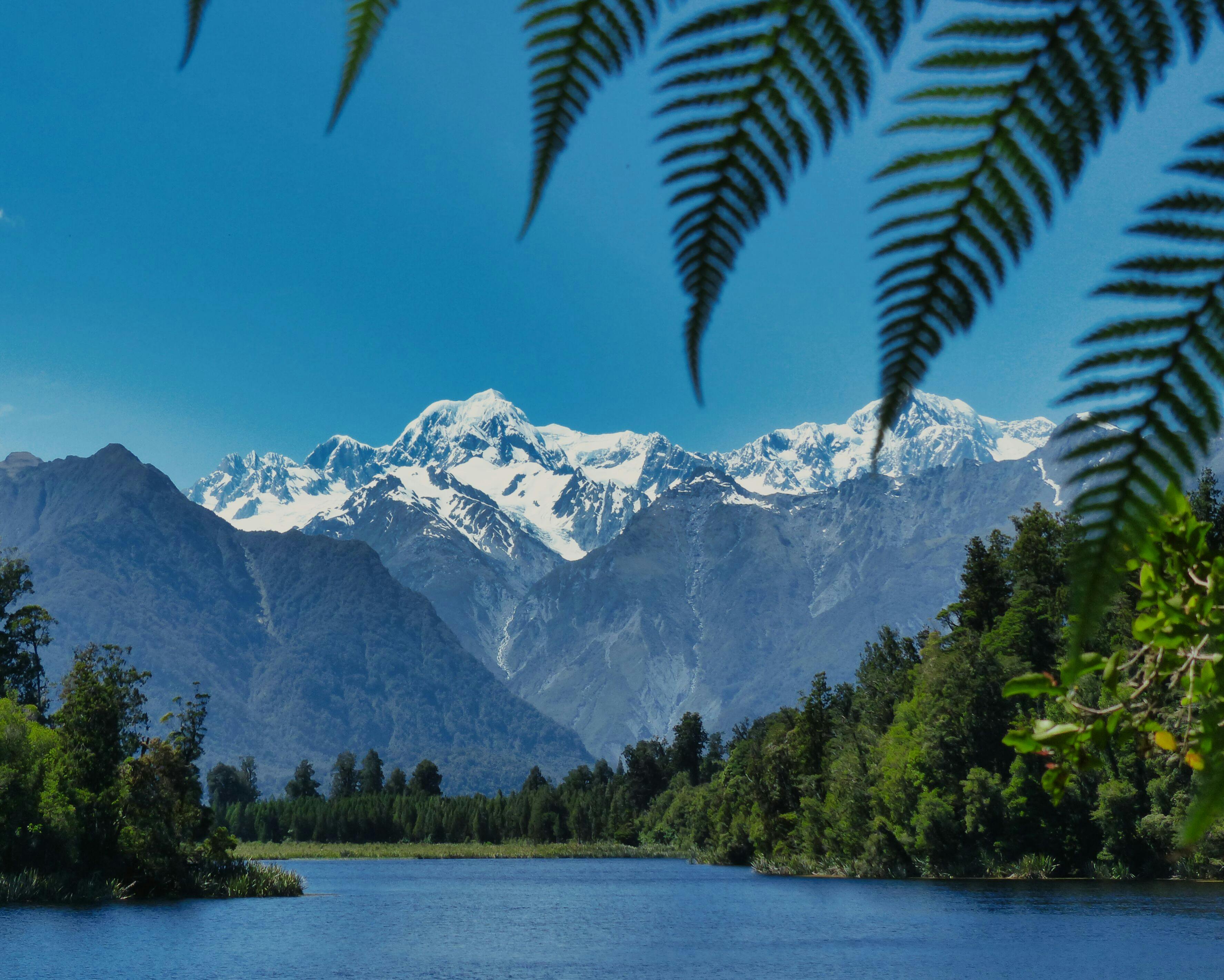 3549x2840 Lake Matheson Photo, Download The BEST Free Lake Matheson & HD Image