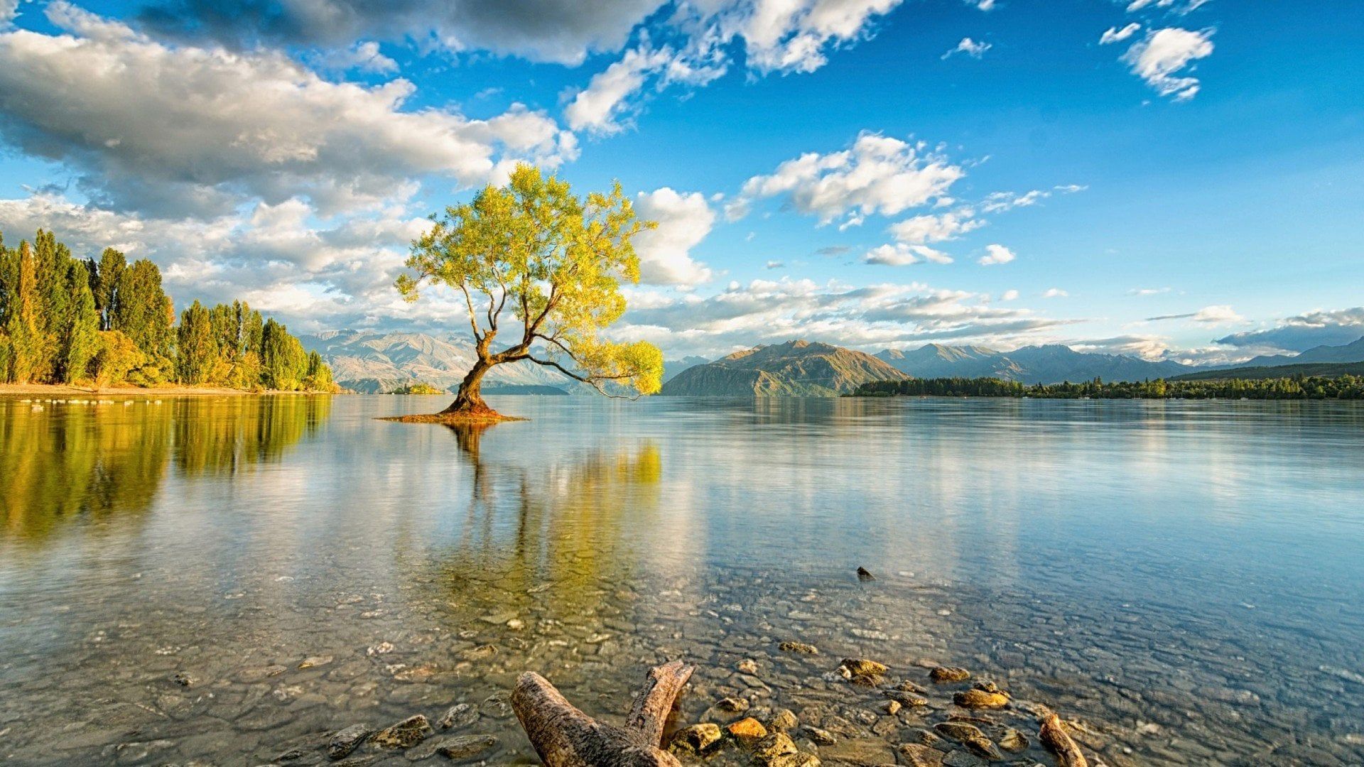 1920x1080 My Favorite One Wanaka New Zealand Lake Wallpaper (1920x1080)