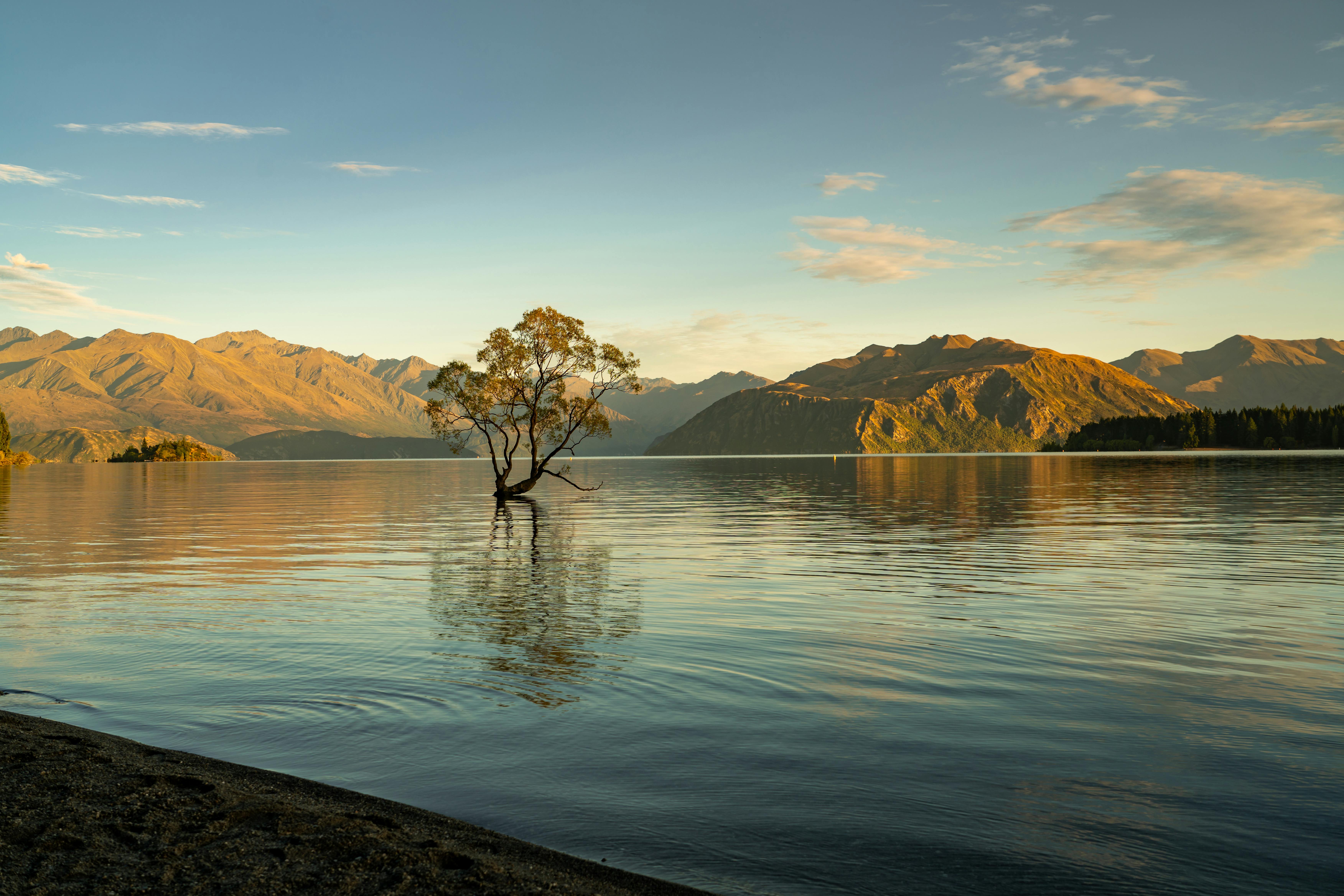 7008x4672 Lake Wanaka Photo, Download The BEST Free Lake Wanaka & HD Image