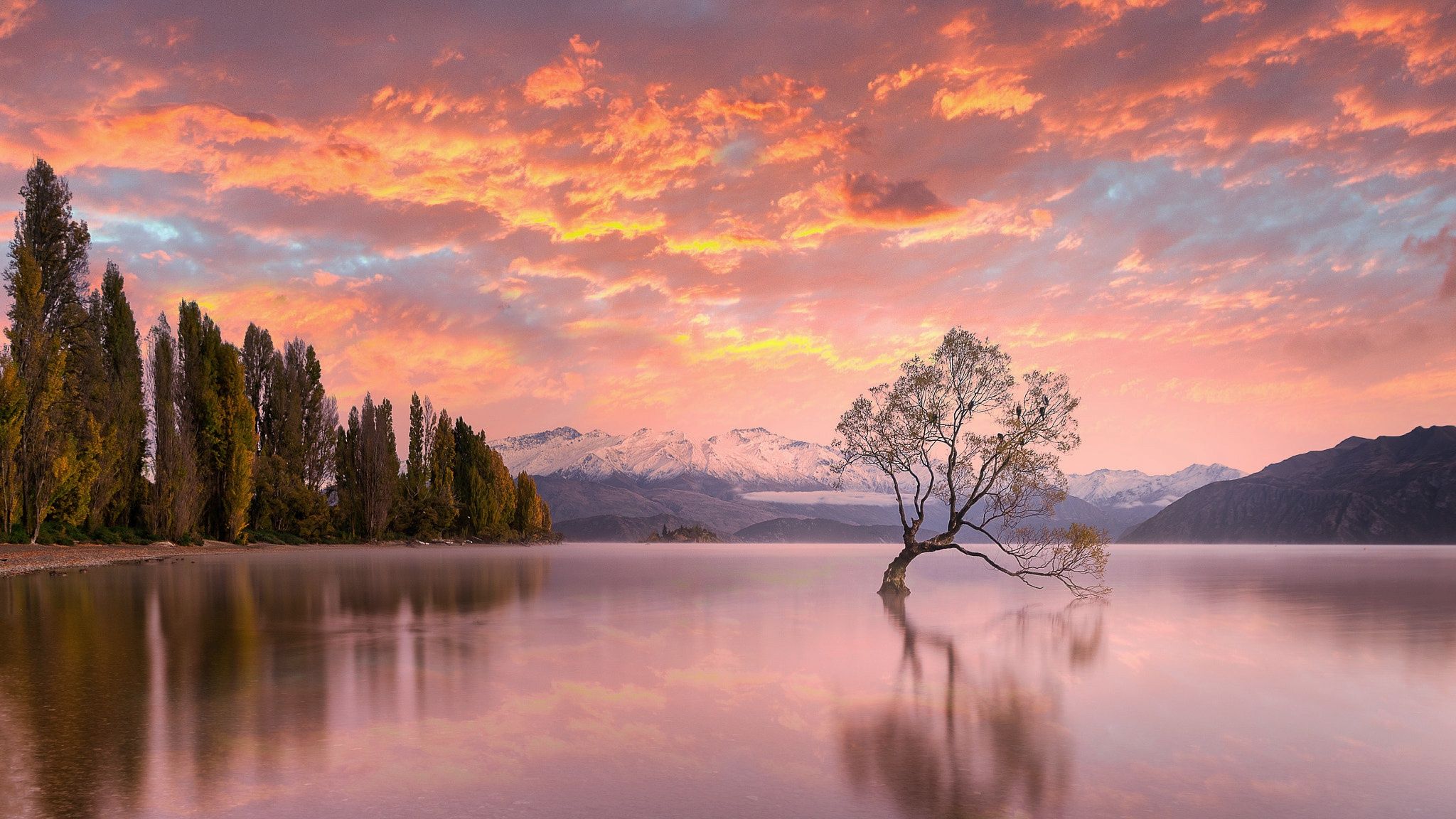2048x1152 Wallpaper the sky, trees, sunset, lake, New Zealand, New Zealand, Lake Wanaka for mobile and desktop, section природа, resolution 2048x1152