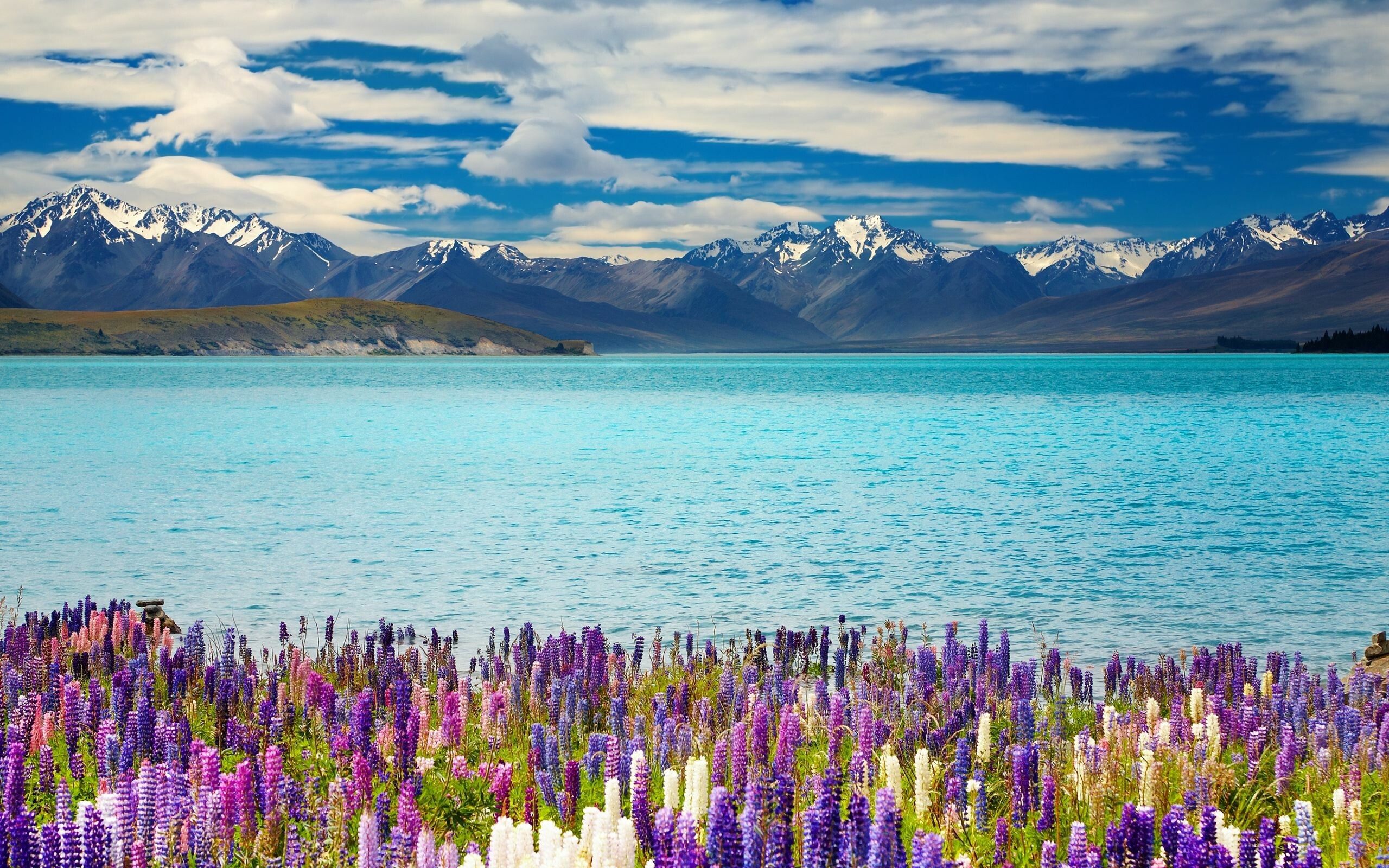 2560x1600 New Zealand Wallpaper