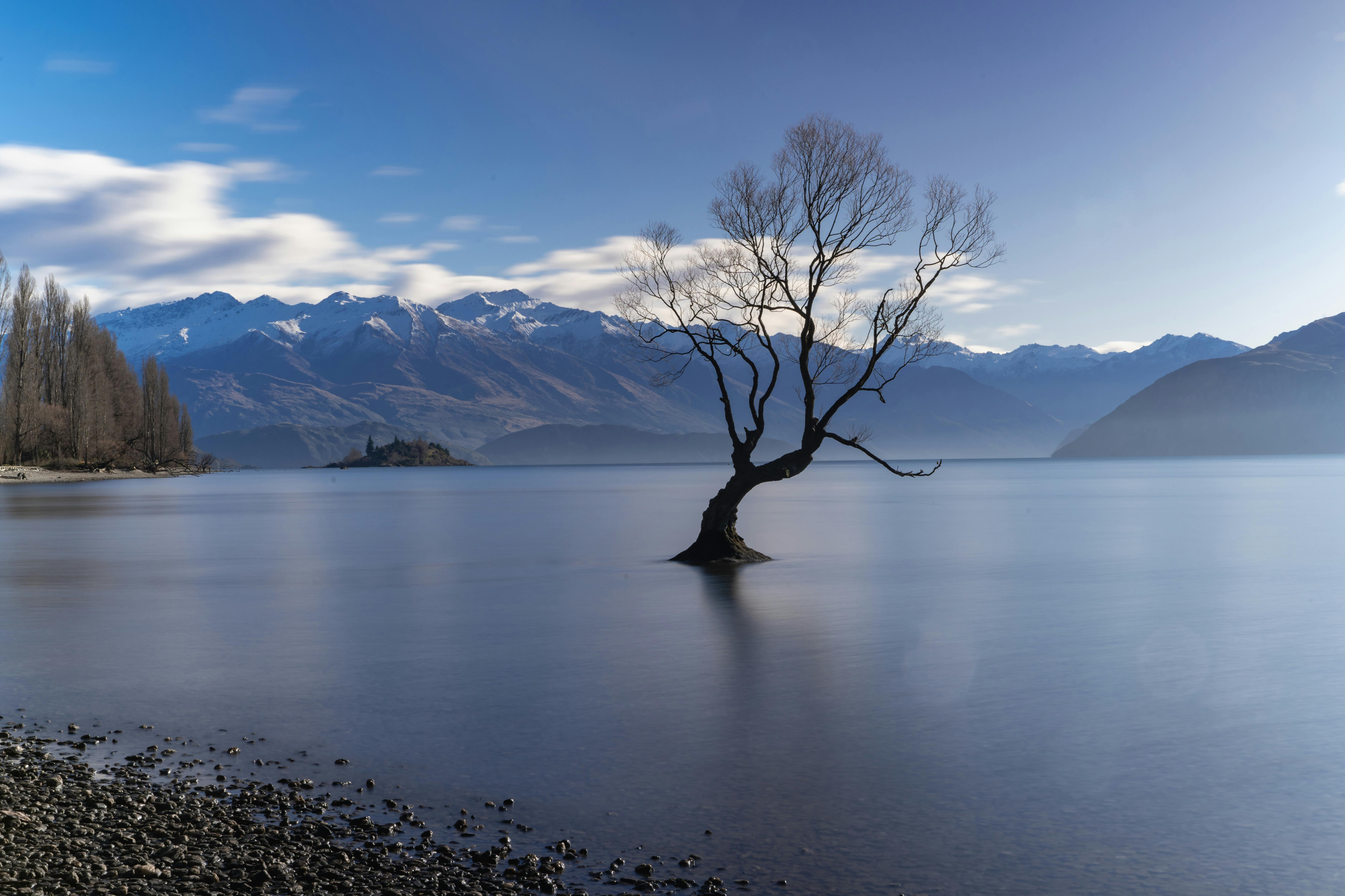 7008x4672 Scenic Landscape with a Tree amid Lake · Free