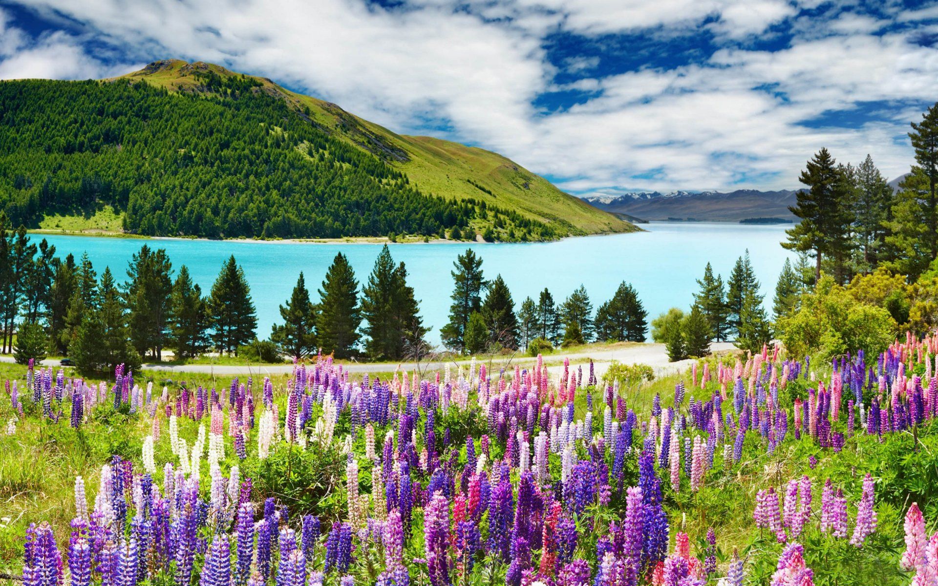 1920x1200 Download New Zealand Nature Lake Tekapo HD Wallpaperx1800