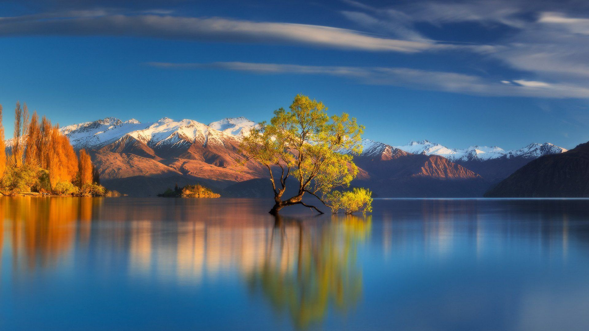 1920x1080 Wallpaper trees, mountains, lake, New Zealand, Lake Wanaka for mobile and desktop, section пейзажи, resolution 1920x1080