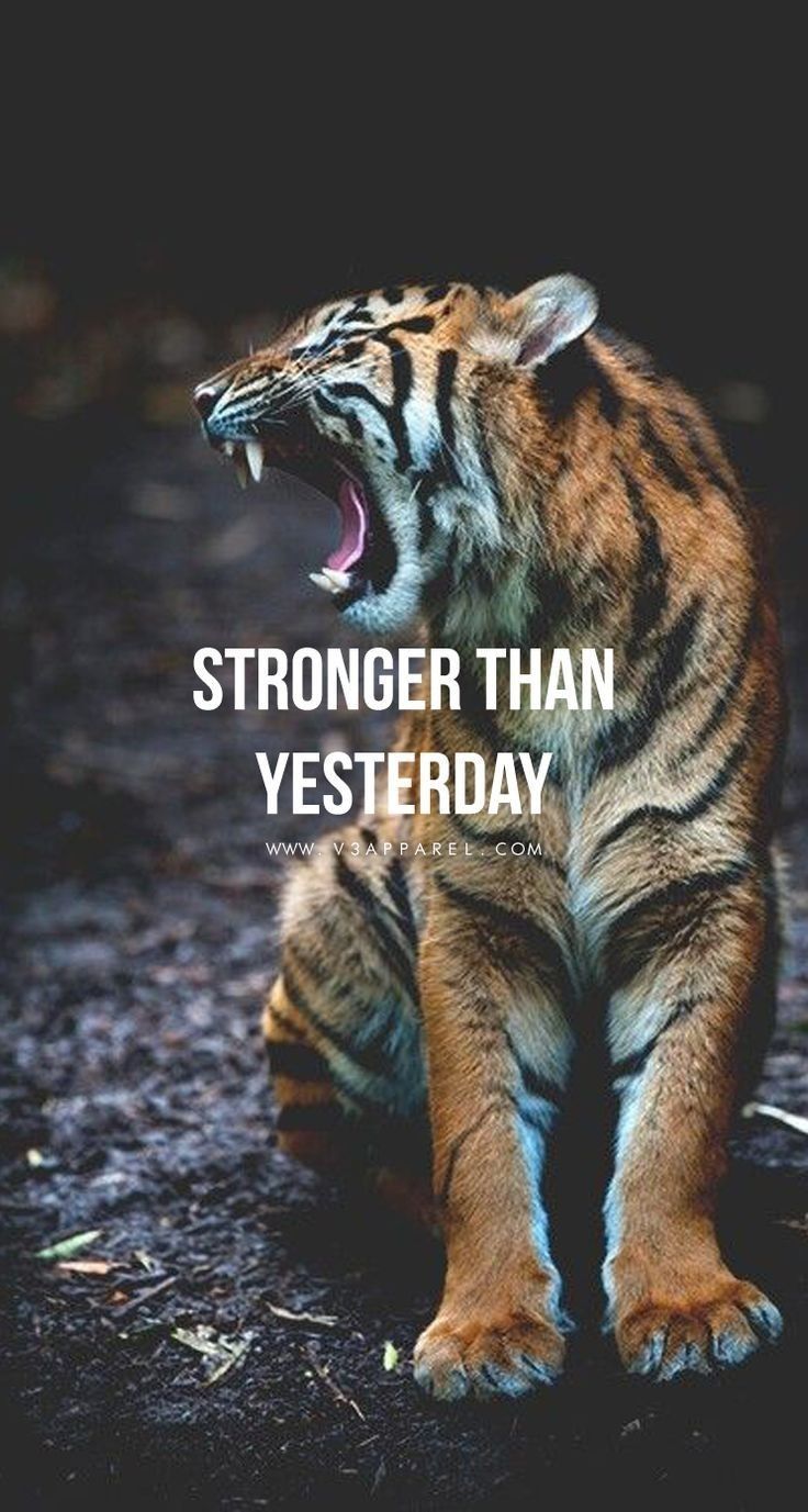 736x1377 The goal is simple