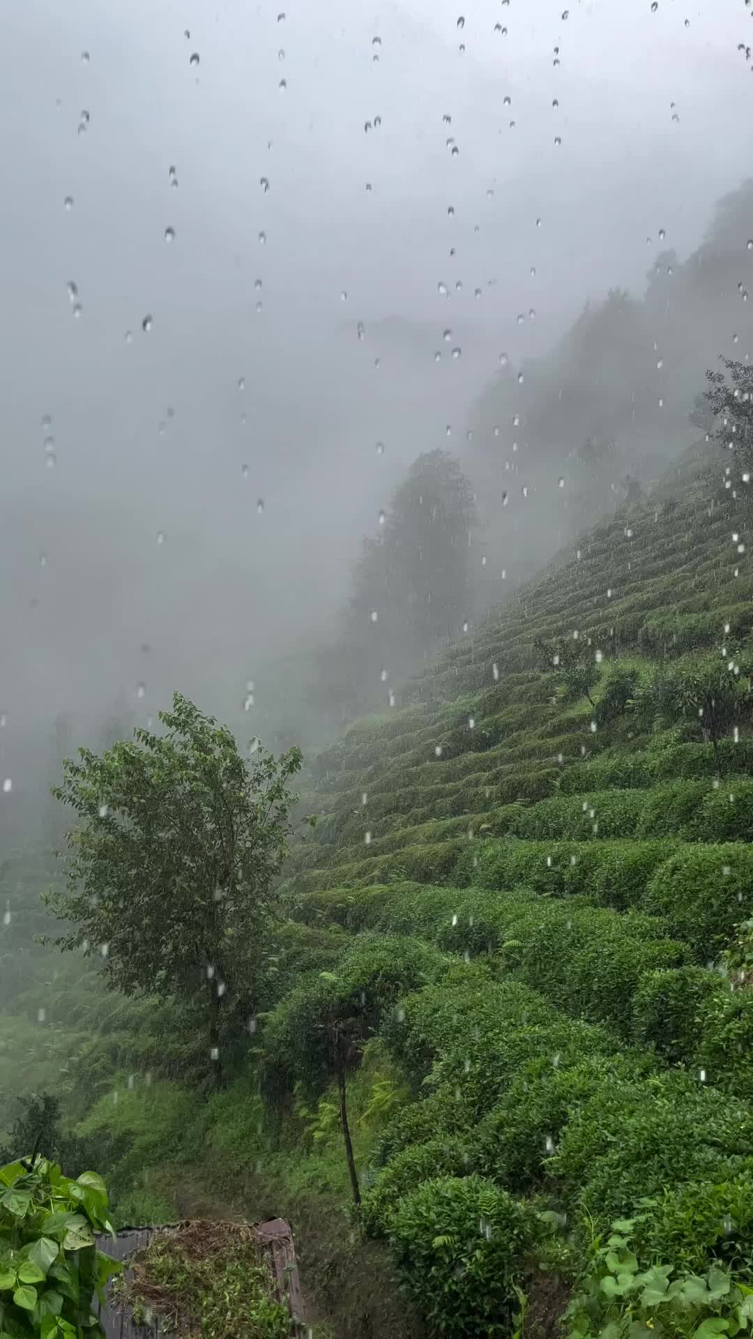 1080x1920 Rain on Mountains