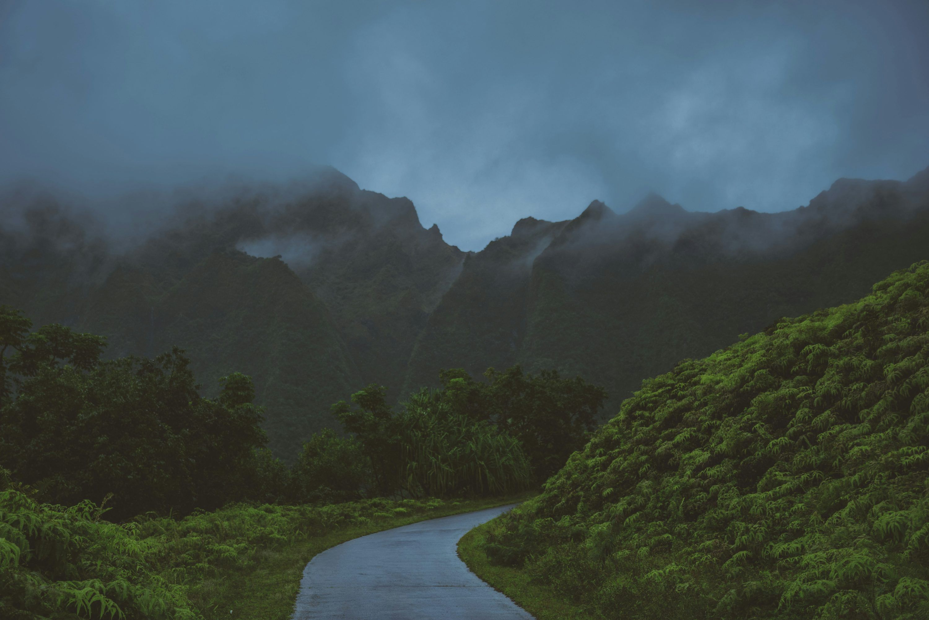 3000x2003 Mountain Rain Picture. Download Free Image