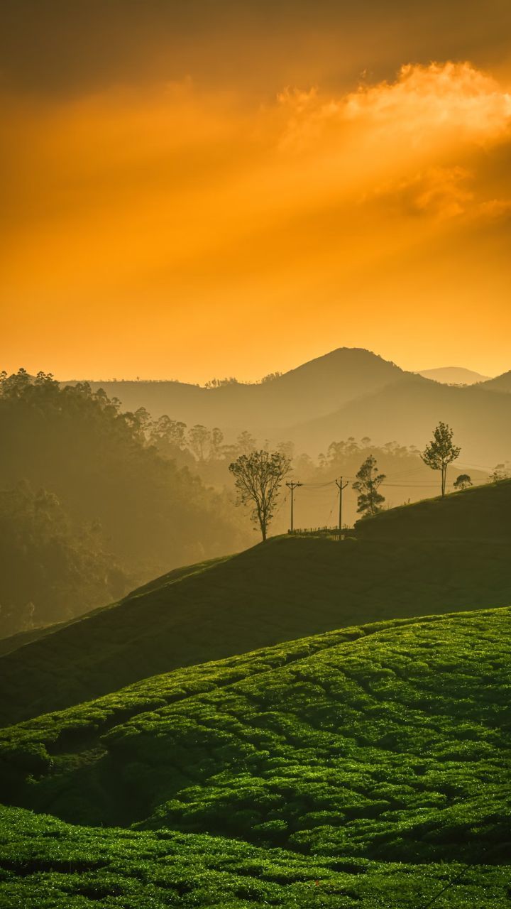 720x1280 Beautiful Places To Visit In Rainy Season In India
