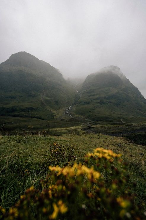 493x740 Rainy mountain Image