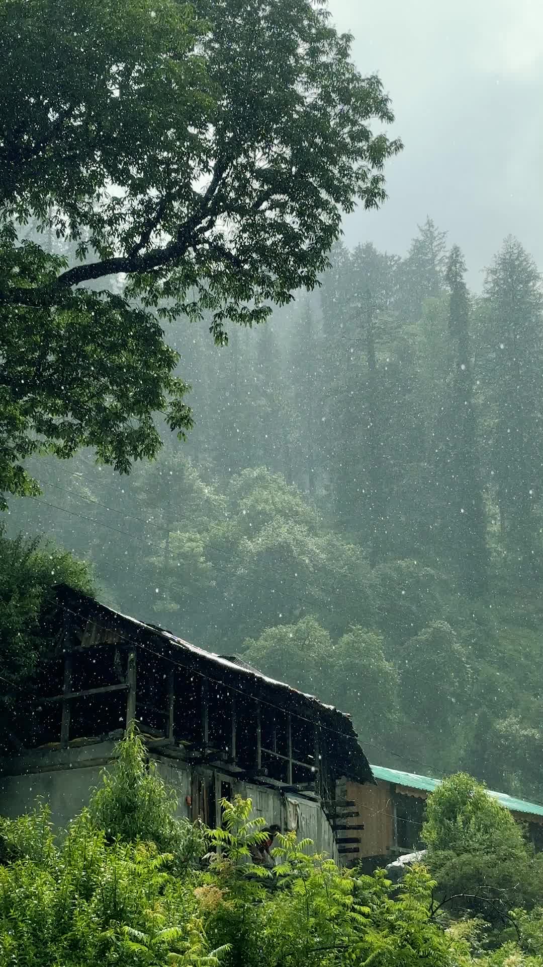 1080x1920 Rain on Mountains