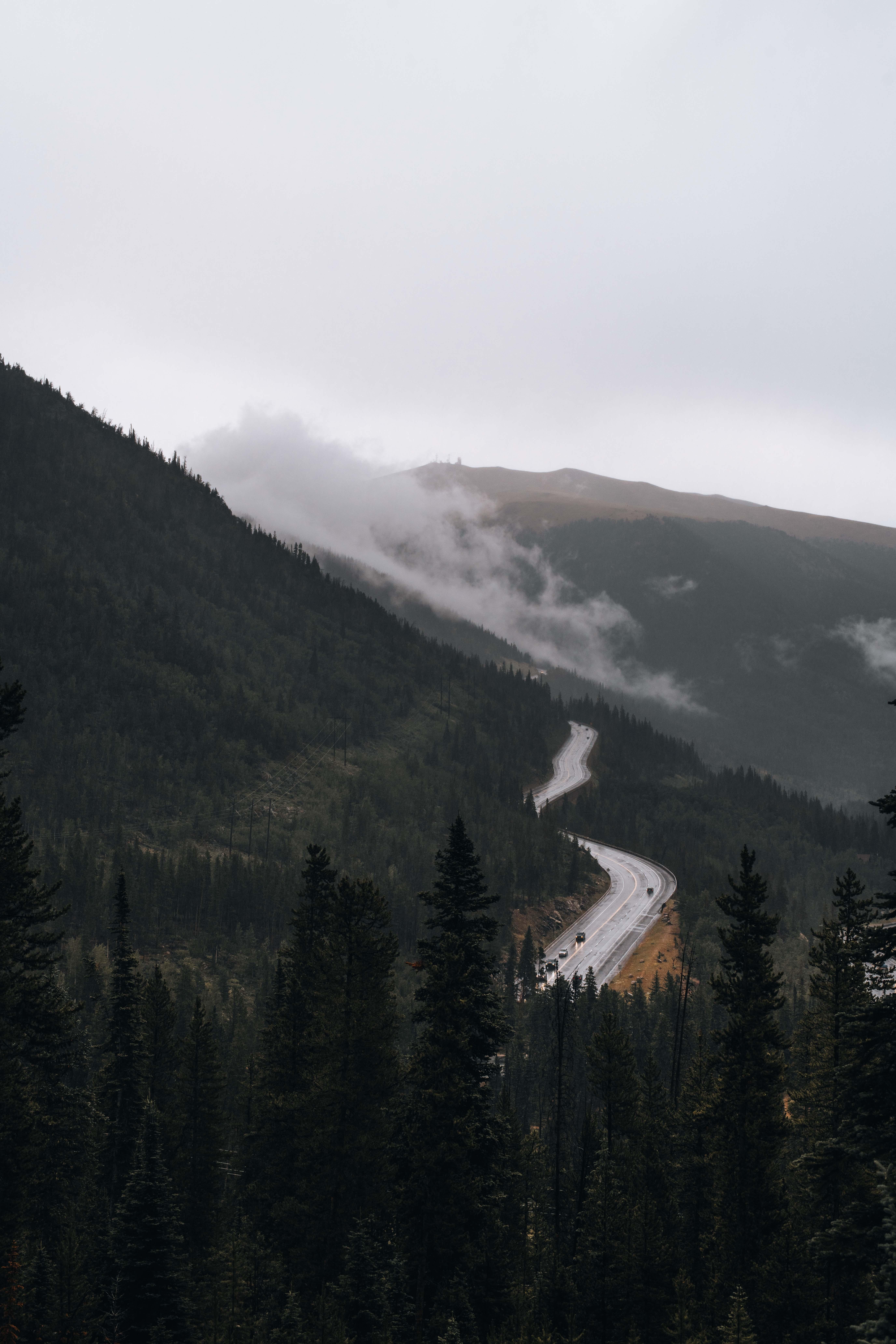 5504x8256 photographs from a rainy summer day deep in the mountains of colorado